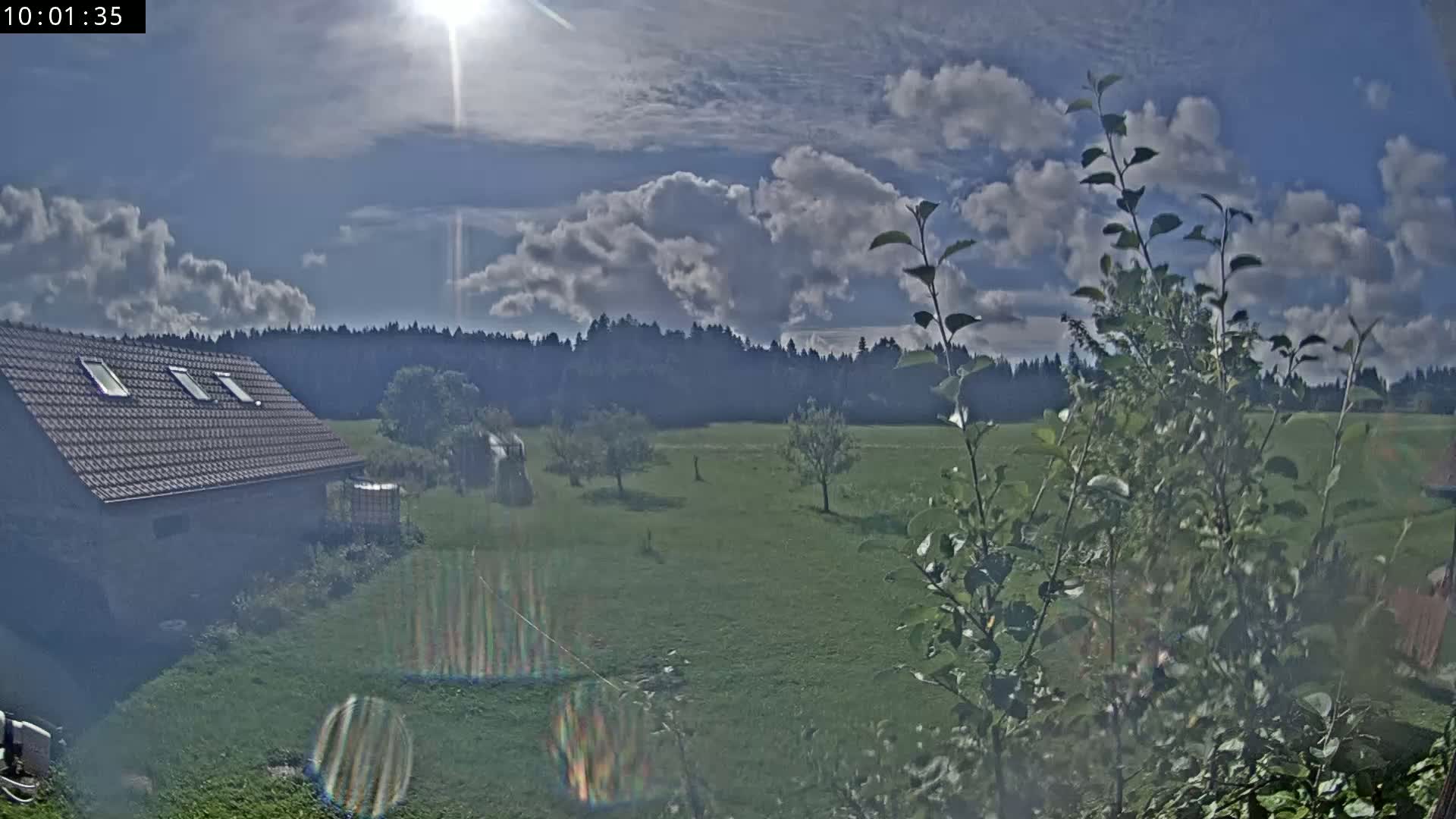 A partly sunny day reveals a house with a tiled roof, a grassy field with a few trees, and a forest in the background.