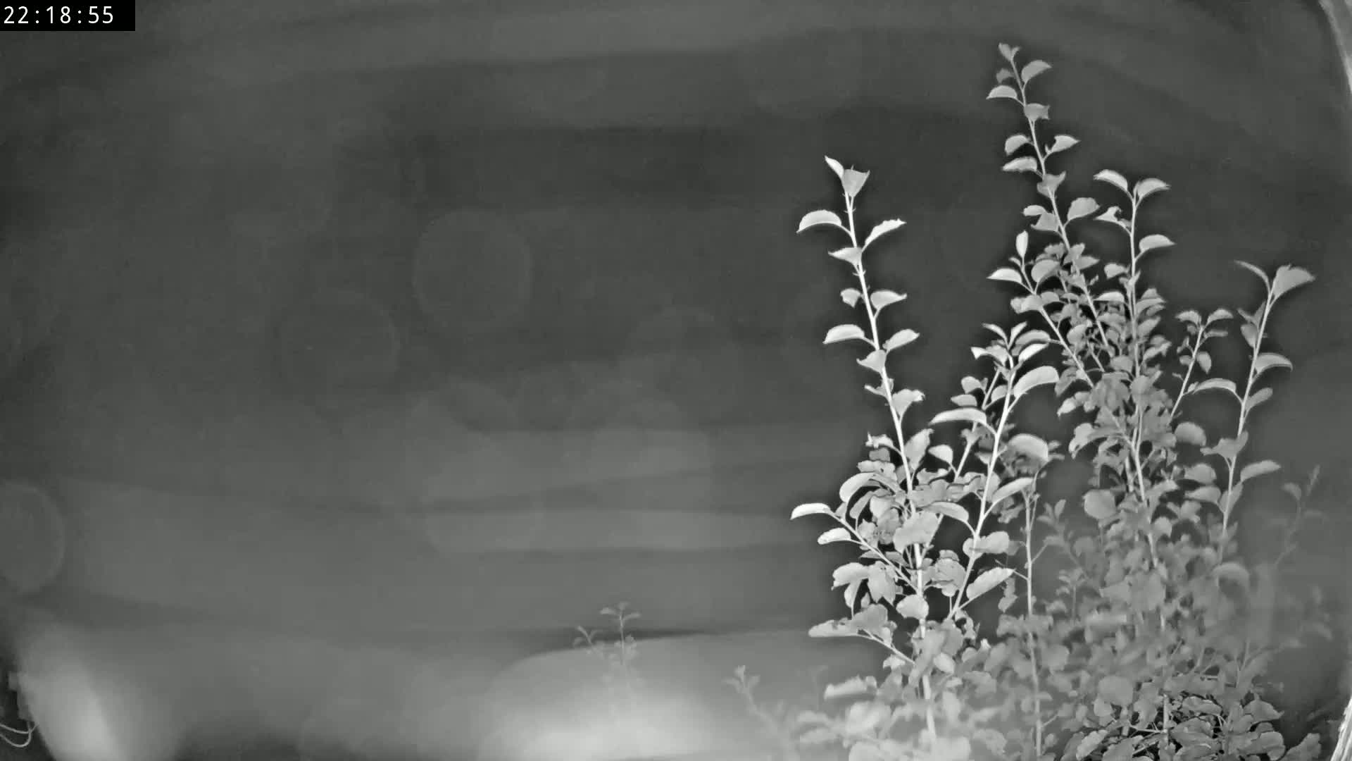 Les Fourgs, Haute Joux Live Cam - Pontarlier, Doubs, Bourgogne-Franche-Comté, France