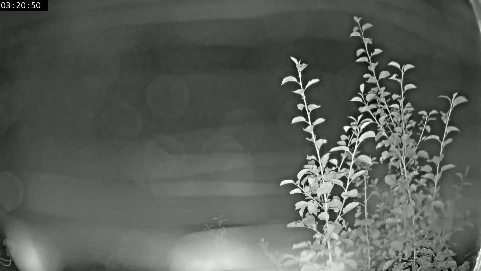 Les Fourgs, Haute Joux Live Cam - Pontarlier, Doubs, Bourgogne-Franche-Comté, France