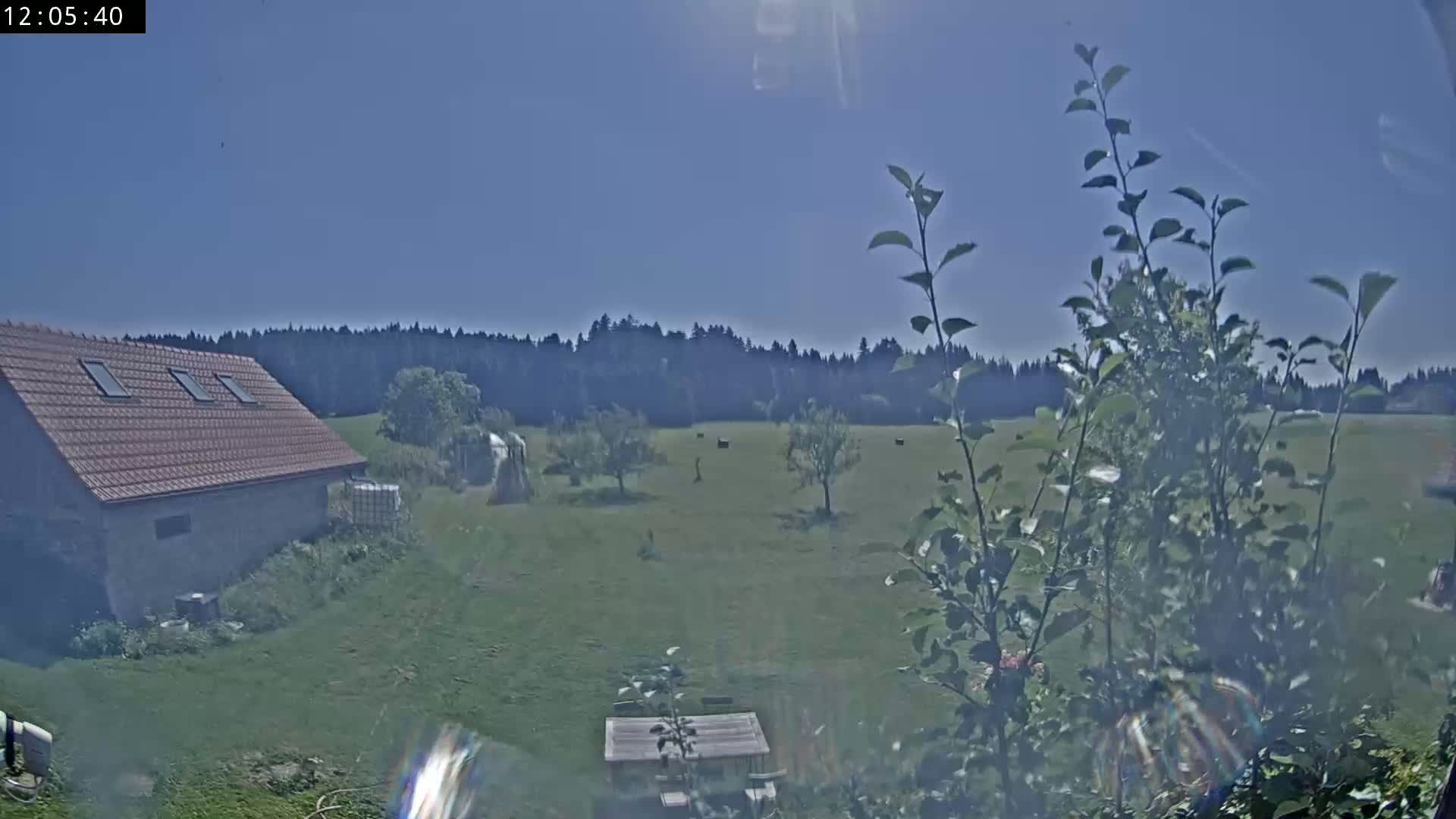 Les Fourgs, Haute Joux Live Cam - Pontarlier, Doubs, Bourgogne-Franche-Comté, France