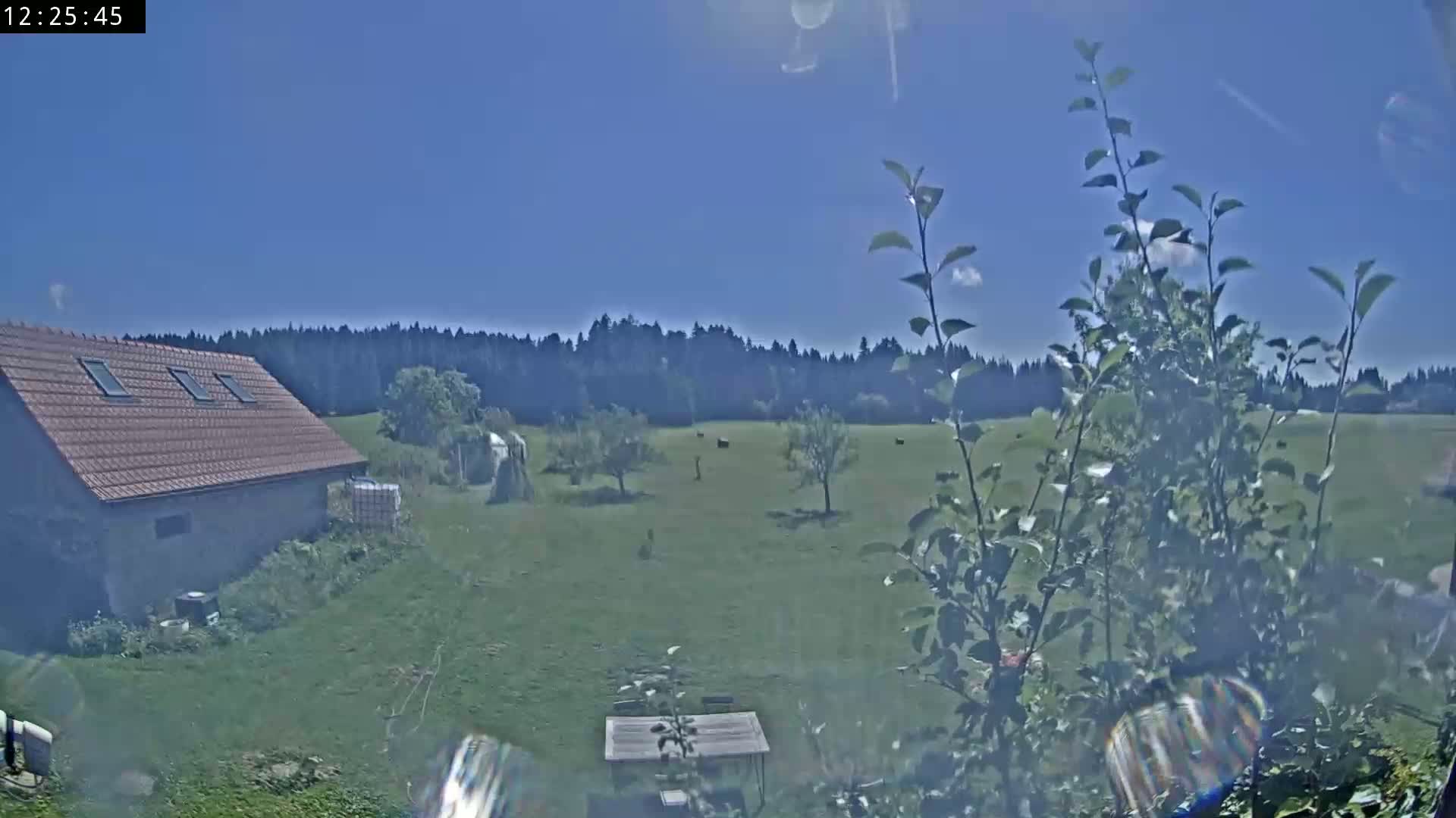Les Fourgs, Haute Joux Live Cam - Pontarlier, Doubs, Bourgogne-Franche-Comté, France