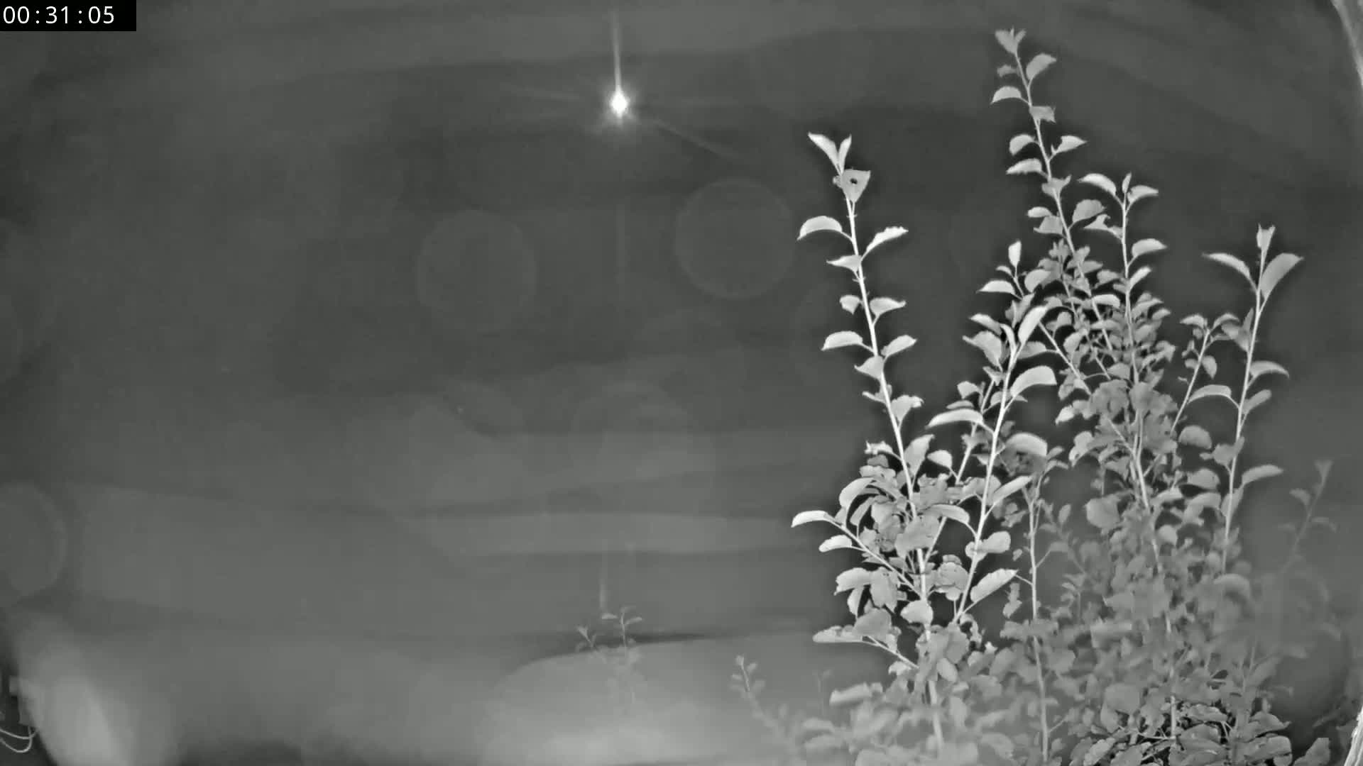 Les Fourgs, Haute Joux Live Cam - Pontarlier, Doubs, Bourgogne-Franche-Comté, France