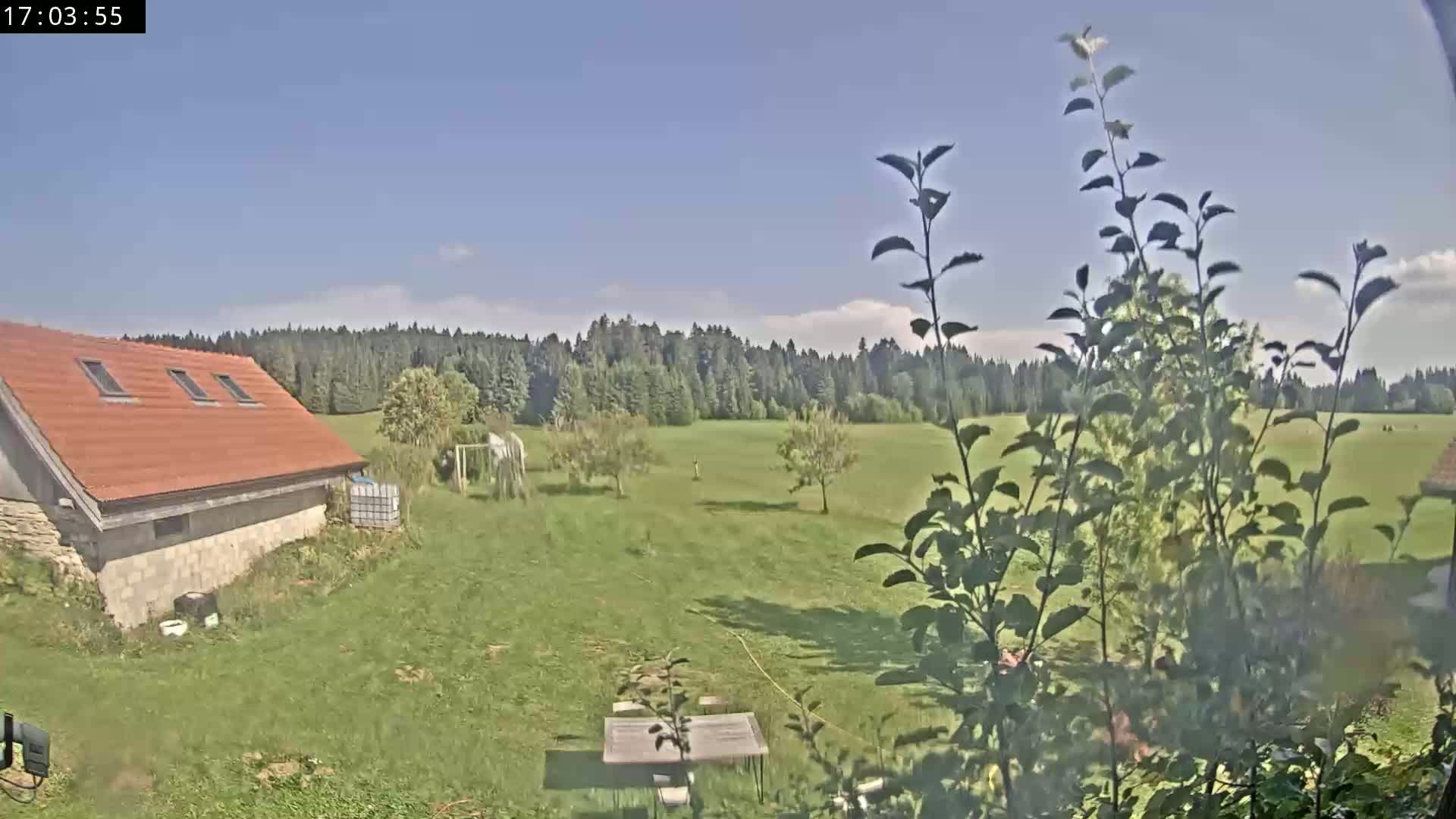 Les Fourgs, Haute Joux Live Cam - Pontarlier, Doubs, Bourgogne-Franche-Comté, France