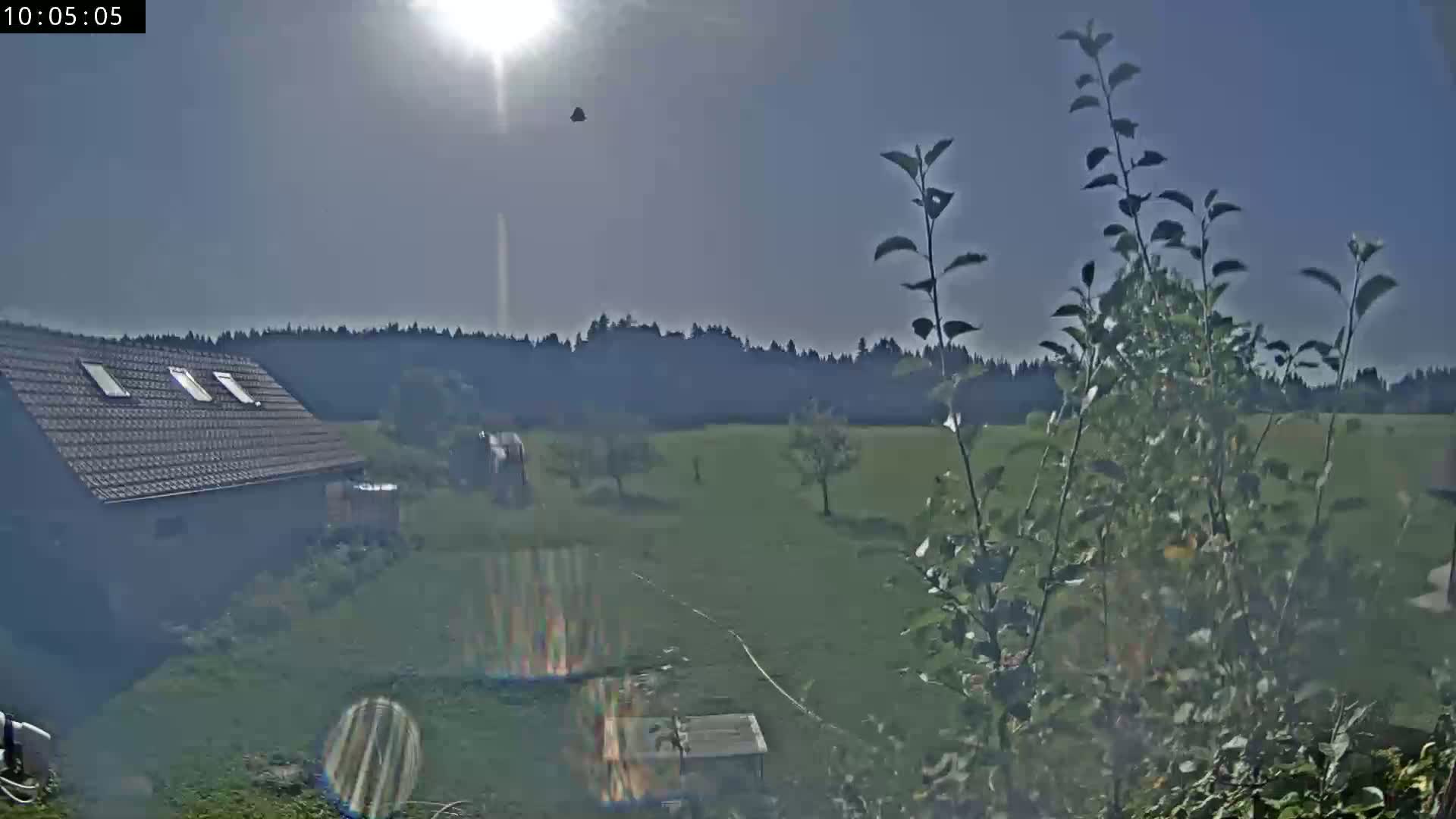 Les Fourgs, Haute Joux Live Cam - Pontarlier, Doubs, Bourgogne-Franche-Comté, France