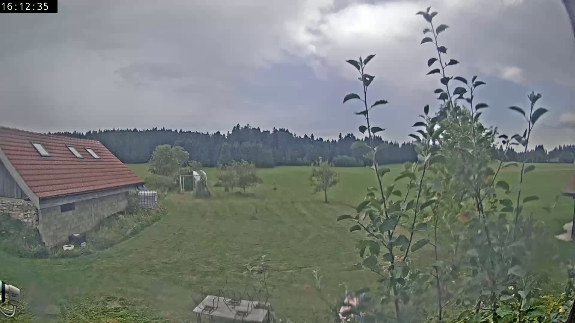 A partly sunny day reveals a house with a tiled roof, a grassy field with a few trees, and a forest in the background.
