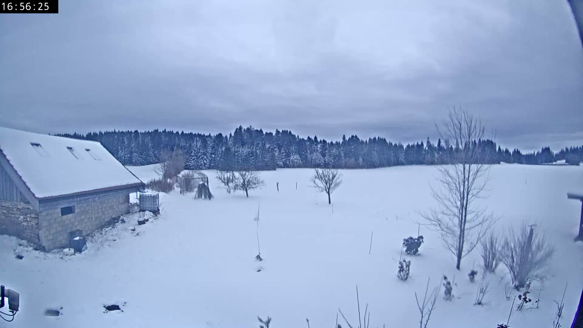 Les Fourgs, Haute Joux Live Cam - Pontarlier, Doubs, Bourgogne-Franche-Comté, France