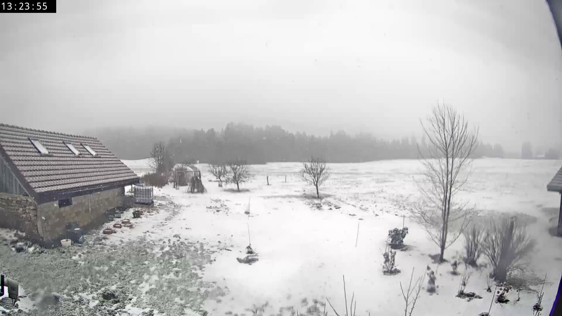 Les Fourgs, Haute Joux Live Cam - Pontarlier, Doubs, Bourgogne-Franche-Comté, France