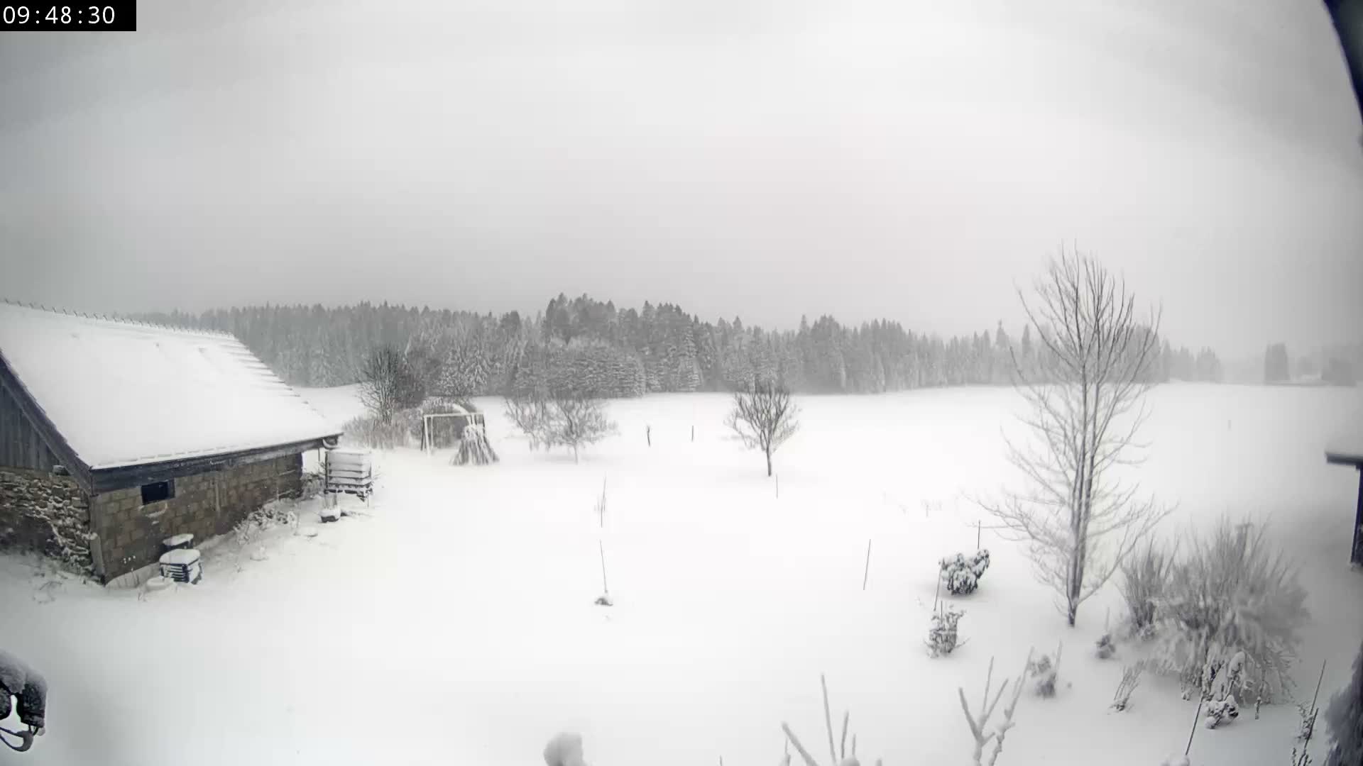 A vast, snow-covered winter landscape is depicted under a grey, overcast sky, showcasing a rustic building on the left, several bare trees, and a dense, snow-laden forest in the distance.