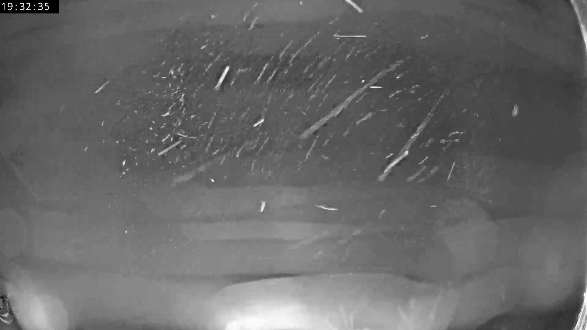 Les Fourgs, Haute Joux Live Cam - Pontarlier, Doubs, Bourgogne-Franche-Comté, France