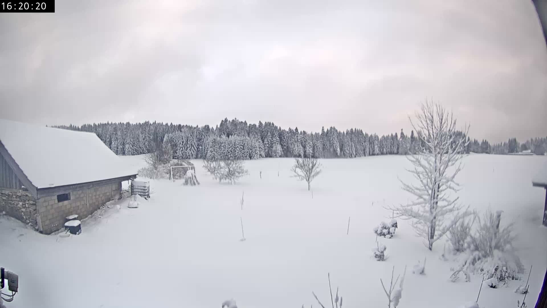 Les Fourgs, Haute Joux Live Cam - Pontarlier, Doubs, Bourgogne-Franche-Comté, France