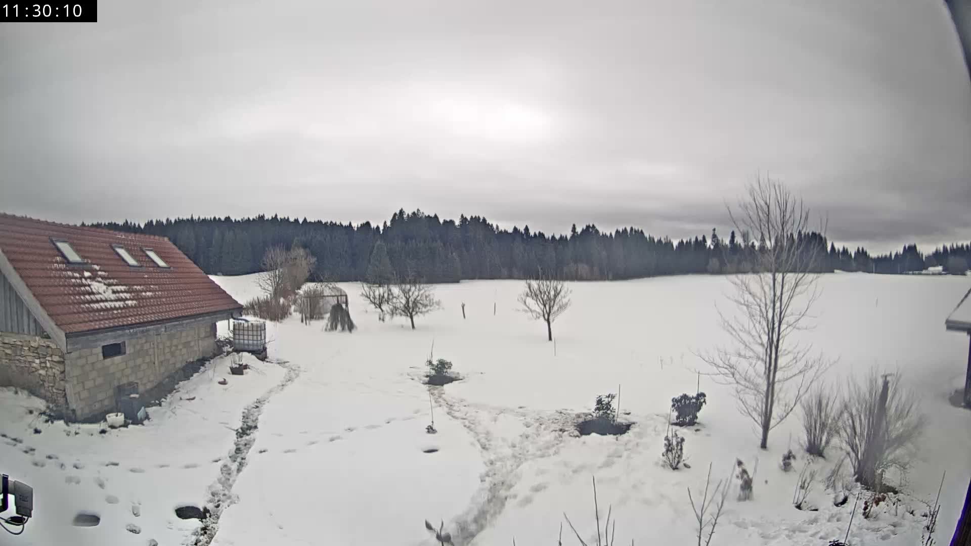 Les Fourgs, Haute Joux Live Cam - Pontarlier, Doubs, Bourgogne-Franche-Comté, France