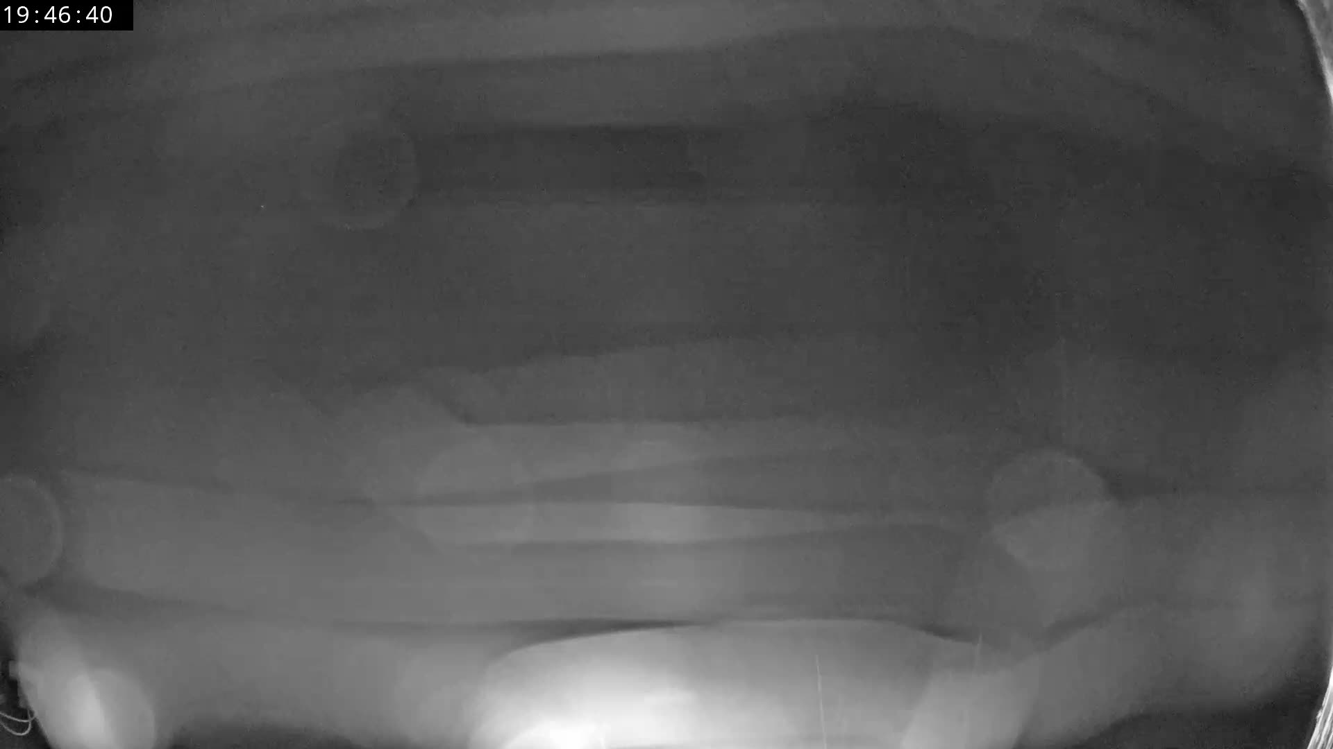 A vast, snow-covered winter landscape is depicted under a grey, overcast sky, showcasing a rustic building on the left, several bare trees, and a dense, snow-laden forest in the distance.