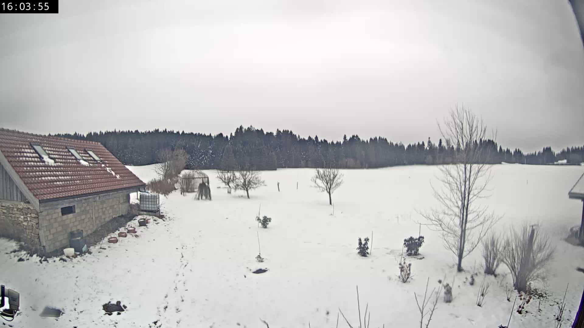 Les Fourgs, Haute Joux Live Cam - Pontarlier, Doubs, Bourgogne-Franche-Comté, France