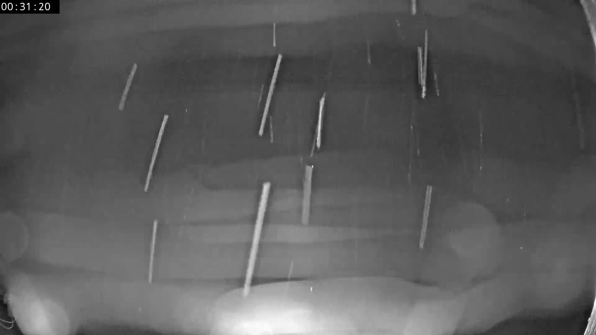 Les Fourgs, Haute Joux Live Cam - Pontarlier, Doubs, Bourgogne-Franche-Comté, France