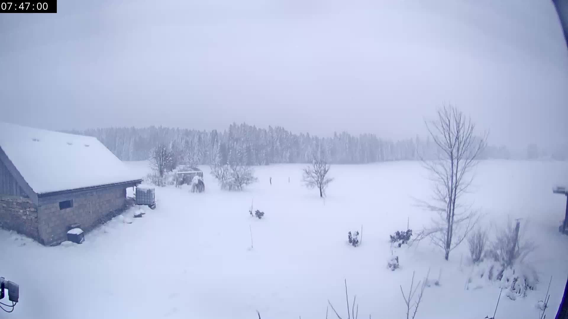 Les Fourgs, Haute Joux Live Cam - Pontarlier, Doubs, Bourgogne-Franche-Comté, France