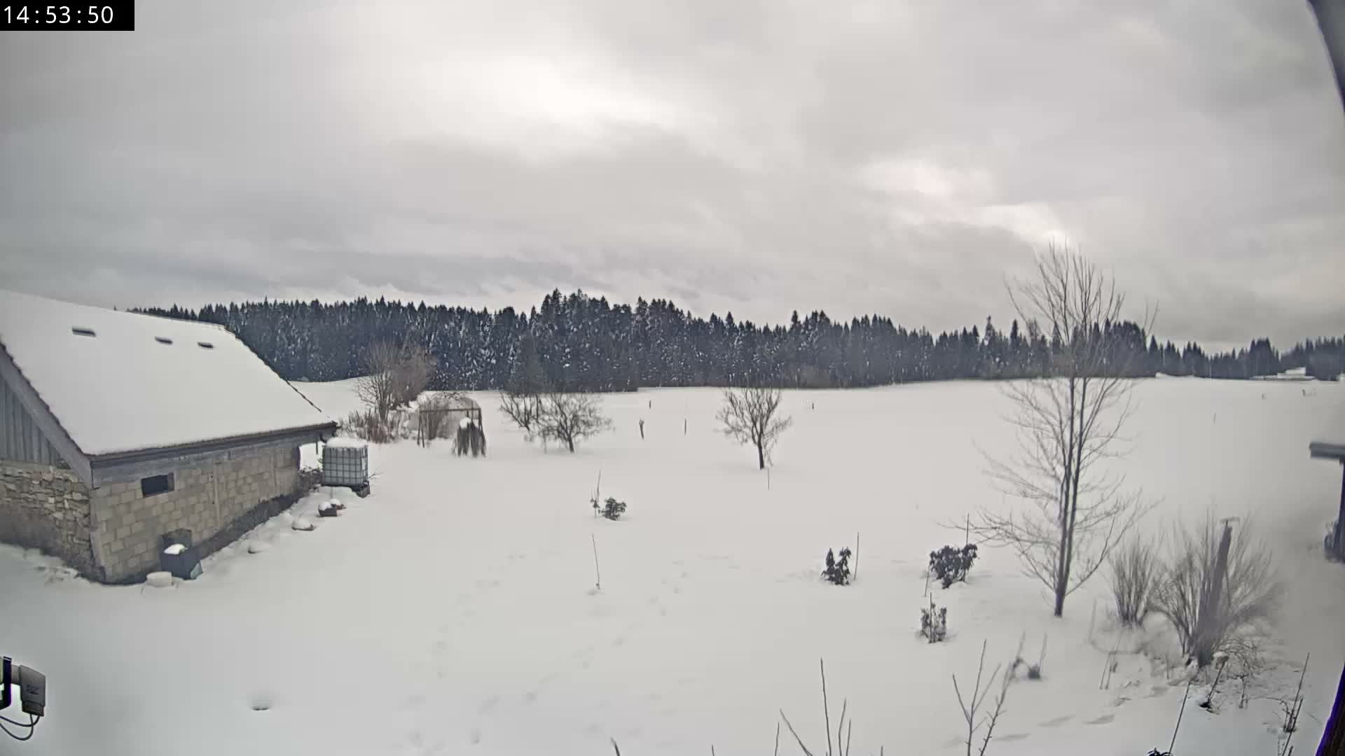 Les Fourgs, Haute Joux Live Cam - Pontarlier, Doubs, Bourgogne-Franche-Comté, France