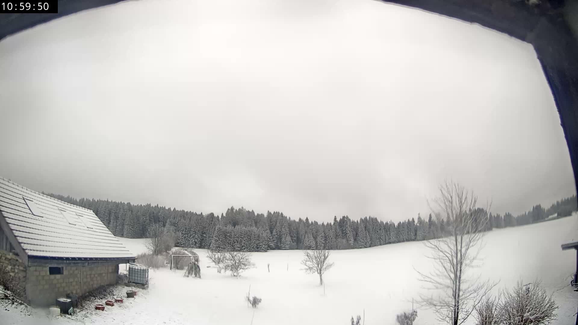 Les Fourgs, Haute Joux Live Cam - Pontarlier, Doubs, Bourgogne-Franche-Comté, France