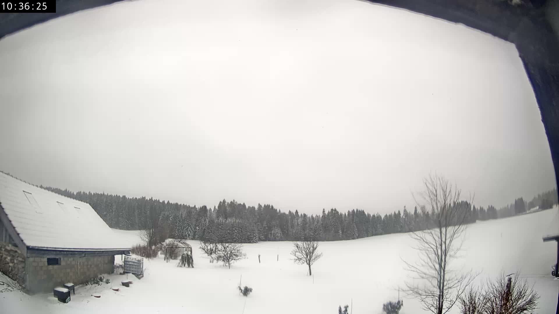 Les Fourgs, Haute Joux Live Cam - Pontarlier, Doubs, Bourgogne-Franche-Comté, France