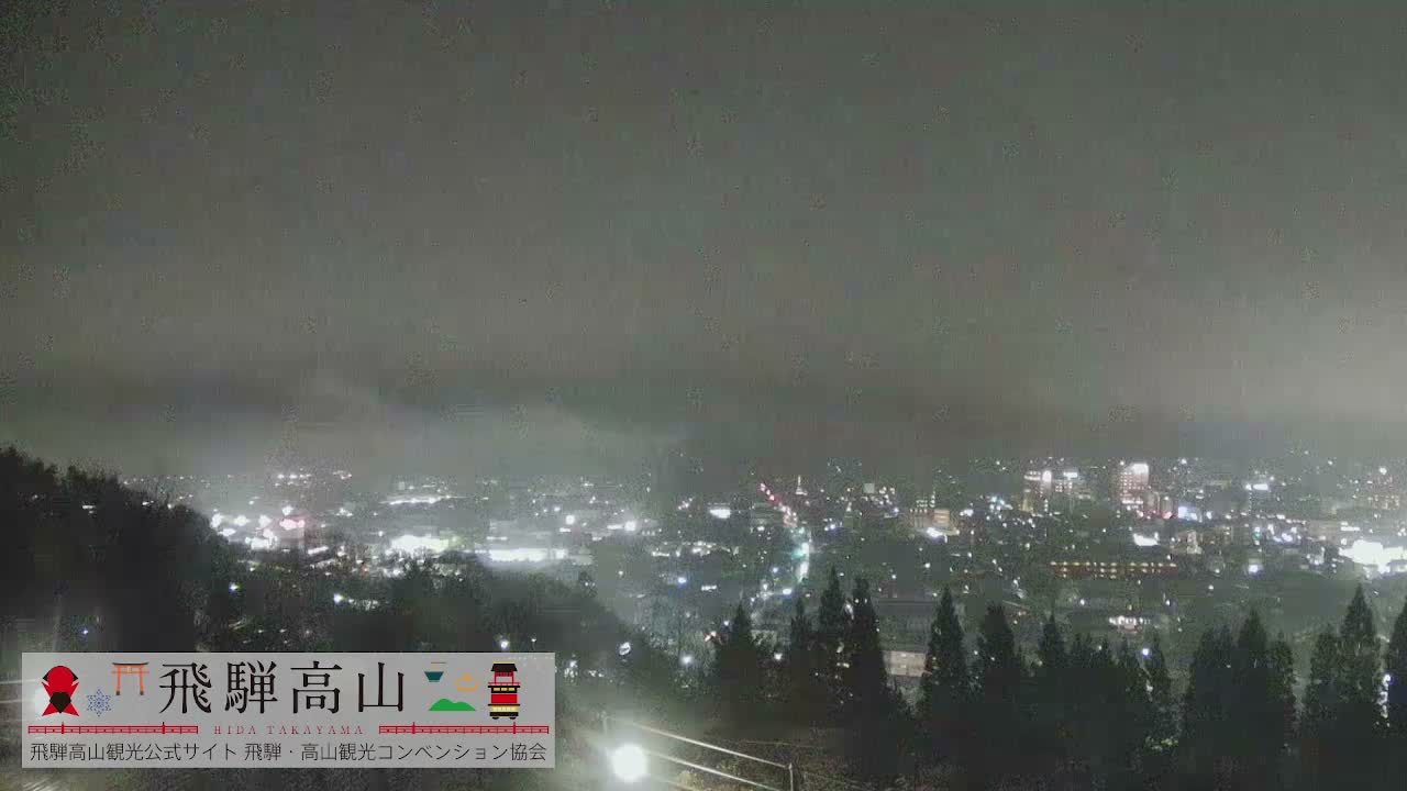 A sprawling town with dense buildings and red rooftops is nestled among wooded hills, backed by distant snow-capped mountains under a partly cloudy sky.