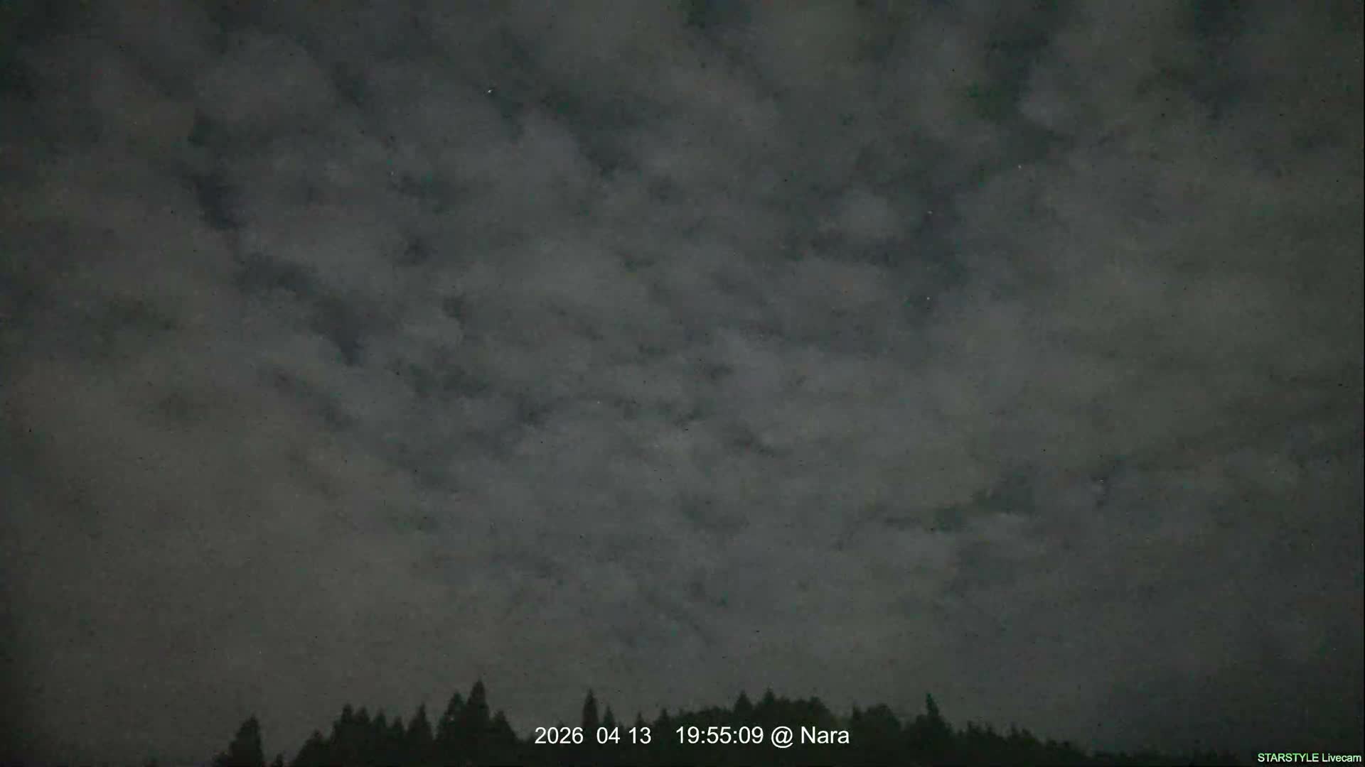 An outdoor scene features a dense line of dark evergreen trees beneath a heavily overcast sky filled with gray clouds.