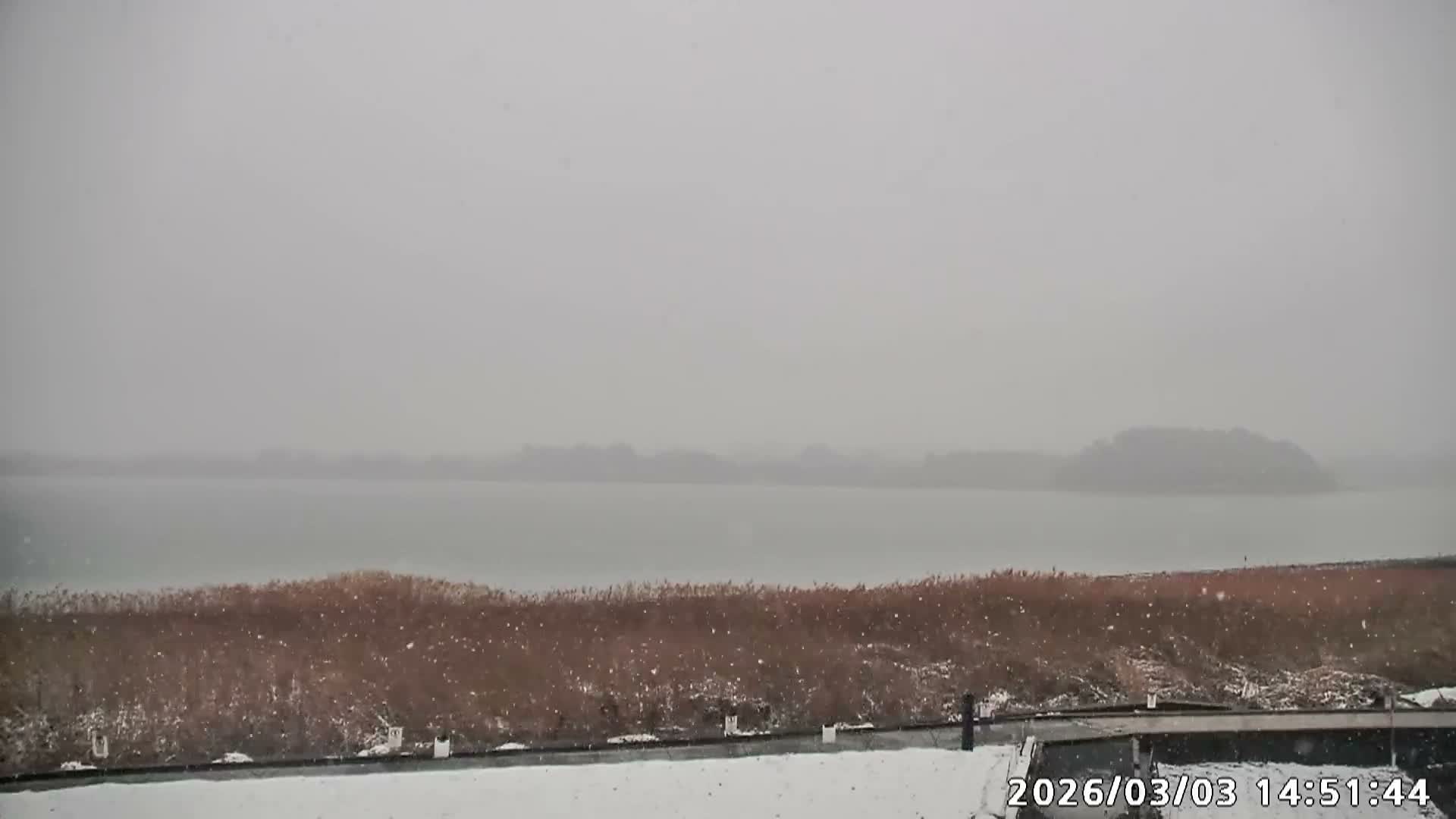 Fujikawaguchiko, Mount Fuji & Lake Kawaguchiko View from Oishi Park ( 大石公園からの富士河口湖、河口湖、富士山の眺め ) Live Cam  - Oishi, Fujikawaguchiko, Minamitsuru, Yamanashi, Tokai, Chubu, Japan