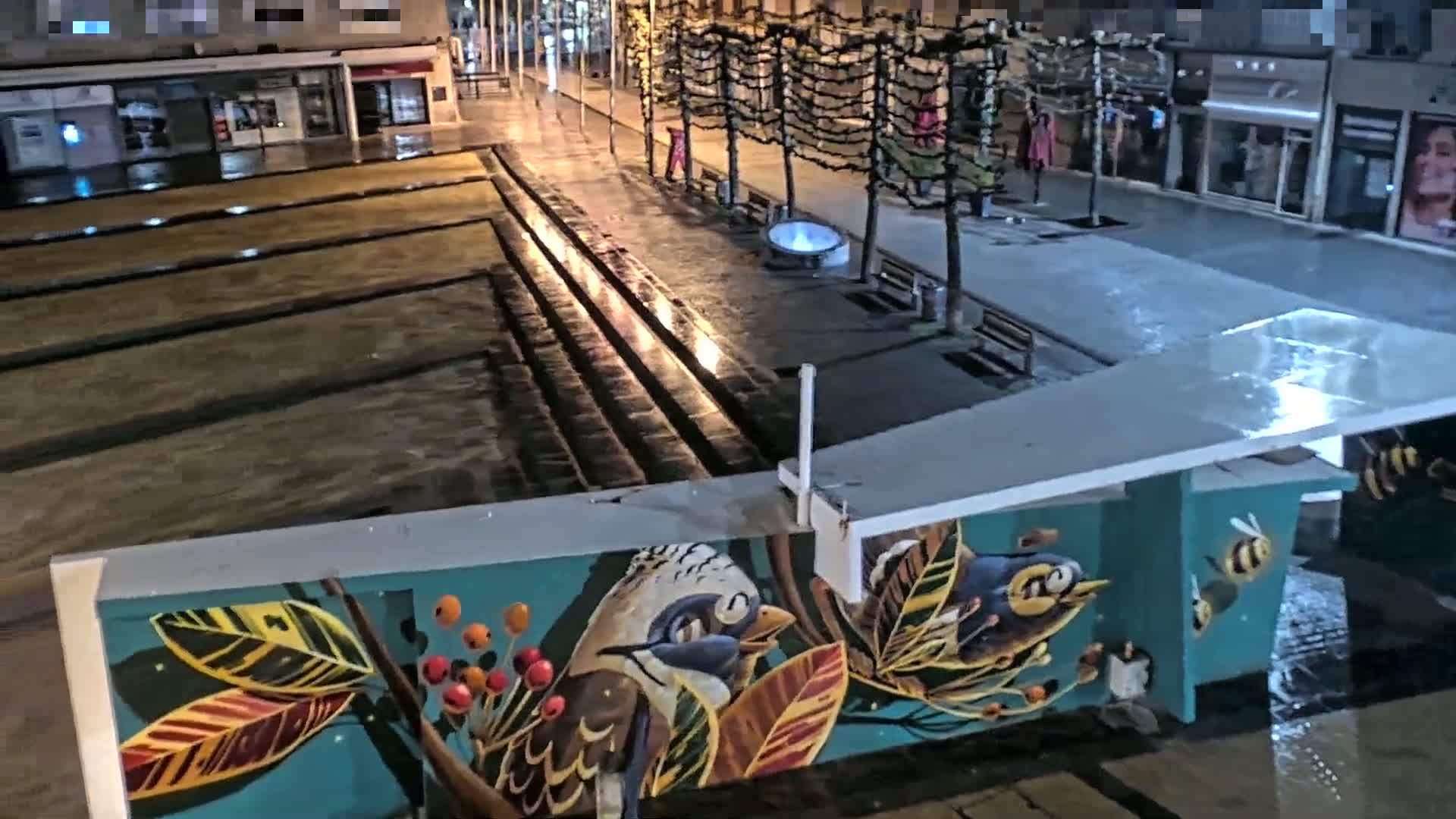 A wet, nighttime street scene shows a mural of birds and bees on a wall near a water feature and businesses.