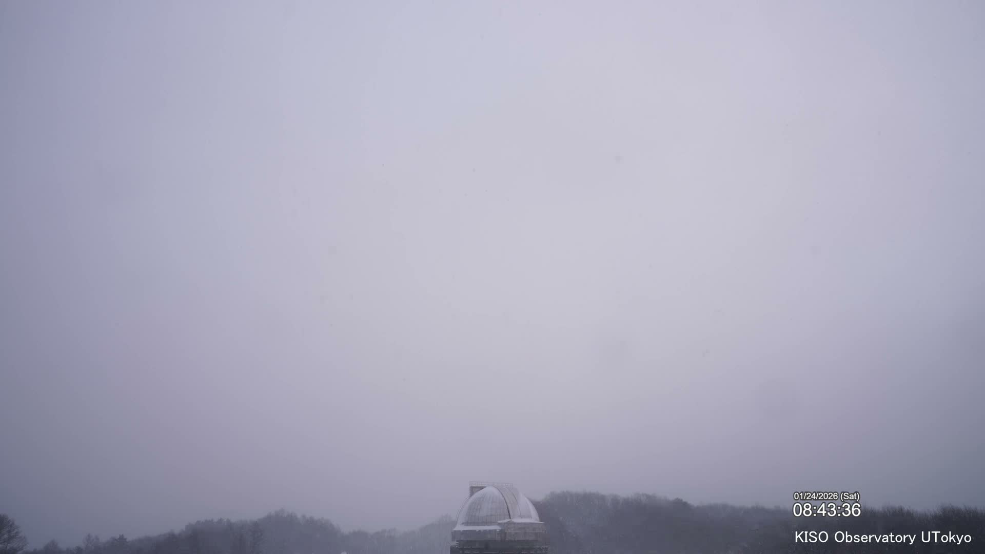 A snow-dusted observatory dome stands above distant, muted trees under a thick, grey, overcast sky with falling snow.