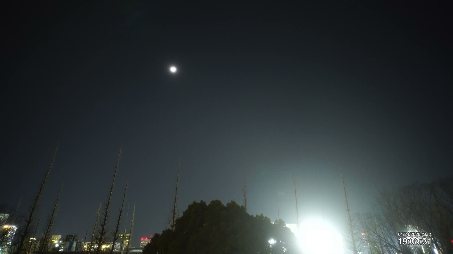 Tokyo, Meiji Shrine Outer Garden / Meiji Jingu Gaien toward Sky (明治神宮外苑から空へ) Live Cam  - Kasumigaokamachi, Shinjuku-ku, Tokyo, Kantō, Honshu, Japan