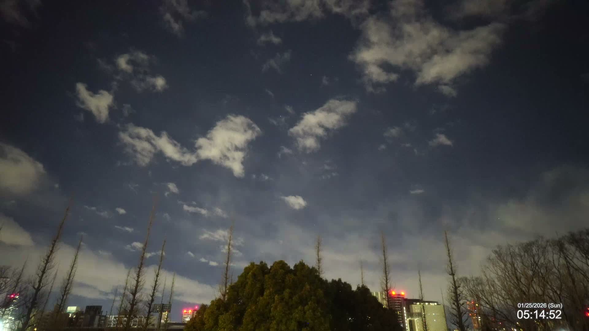 Tokyo, Meiji Shrine Outer Garden / Meiji Jingu Gaien toward Sky (明治神宮外苑から空へ) Live Cam  - Kasumigaokamachi, Shinjuku-ku, Tokyo, Kantō, Honshu, Japan