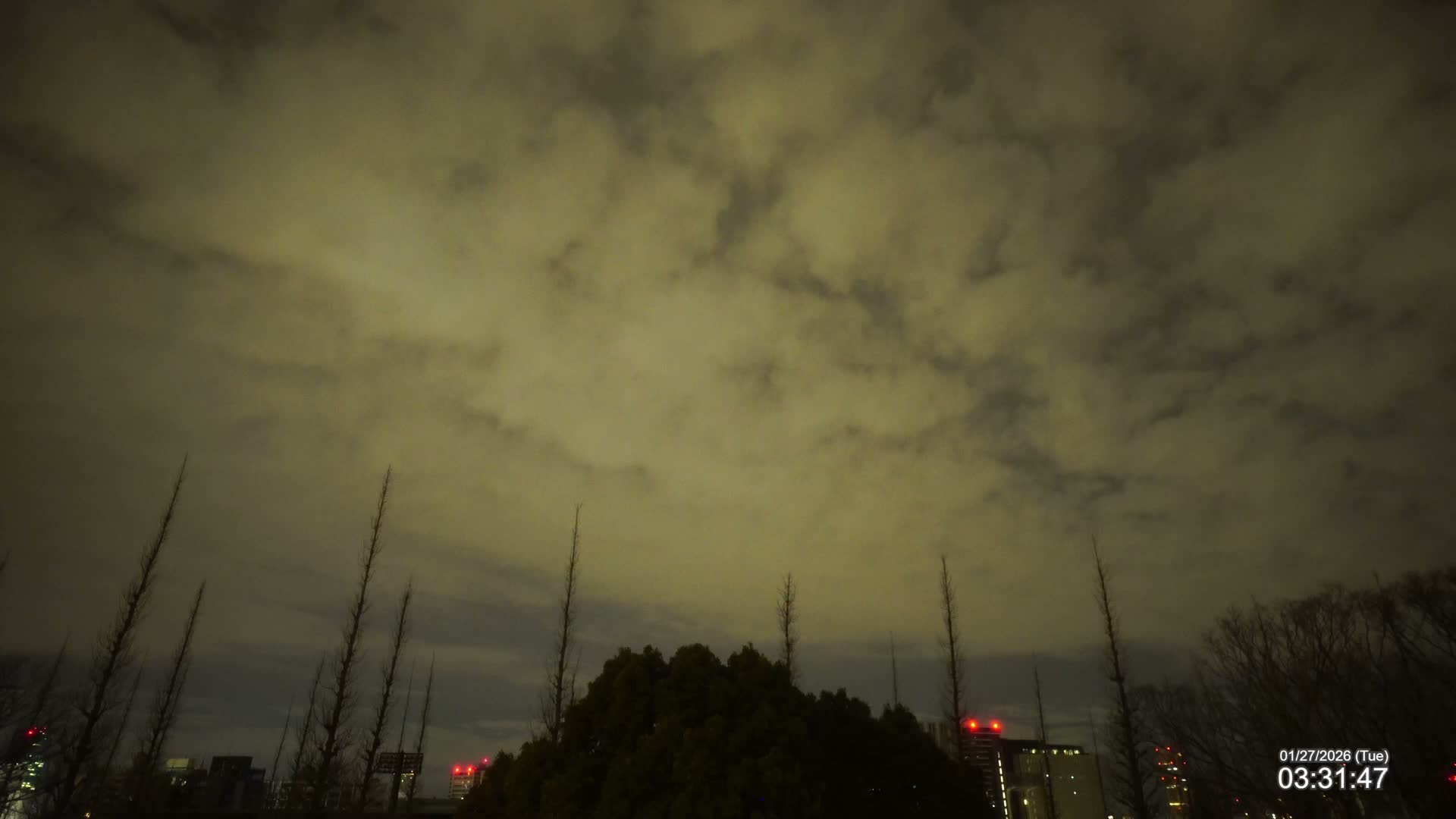 Tokyo, Meiji Shrine Outer Garden / Meiji Jingu Gaien toward Sky (明治神宮外苑から空へ) Live Cam  - Kasumigaokamachi, Shinjuku-ku, Tokyo, Kantō, Honshu, Japan