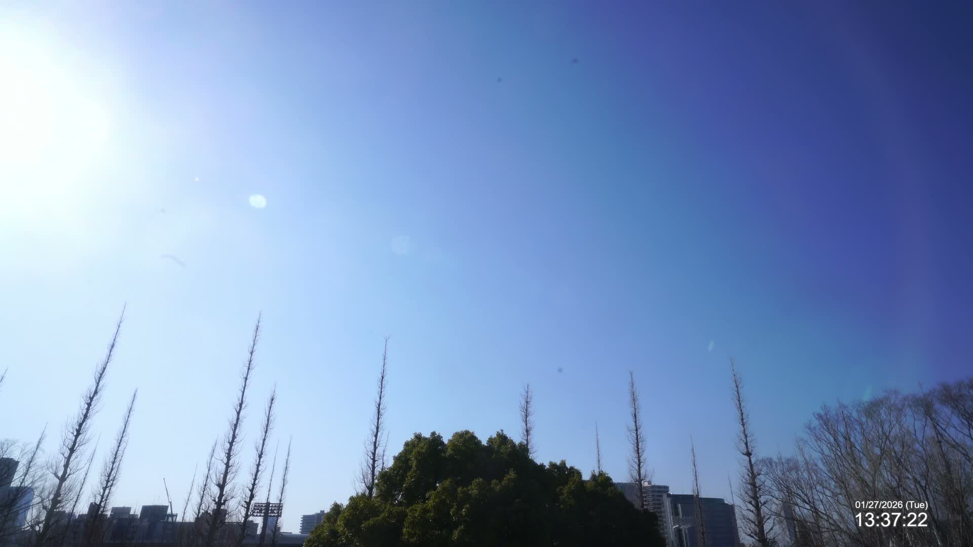 Tokyo, Meiji Shrine Outer Garden / Meiji Jingu Gaien toward Sky (明治神宮外苑から空へ) Live Cam  - Kasumigaokamachi, Shinjuku-ku, Tokyo, Kantō, Honshu, Japan