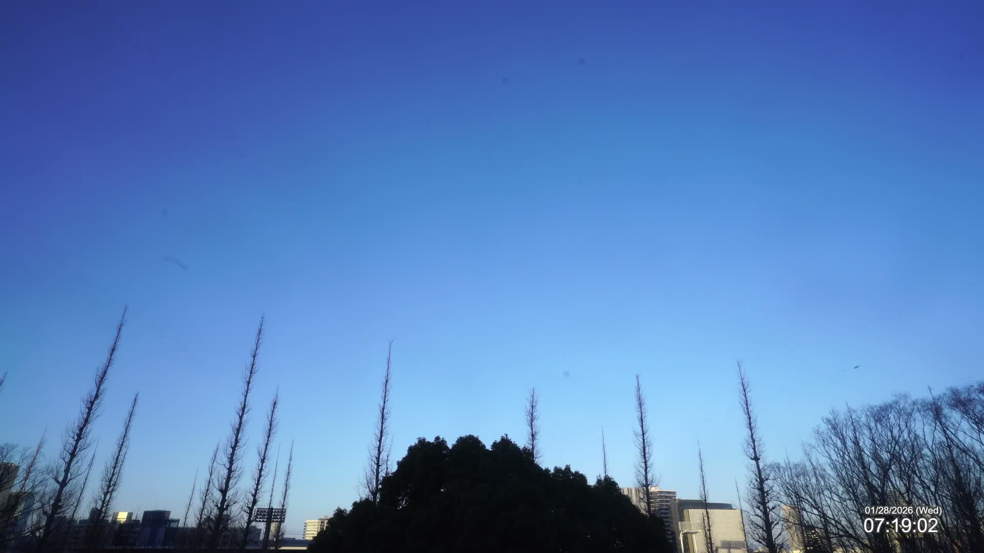 Tokyo, Meiji Shrine Outer Garden / Meiji Jingu Gaien toward Sky (明治神宮外苑から空へ) Live Cam  - Kasumigaokamachi, Shinjuku-ku, Tokyo, Kantō, Honshu, Japan