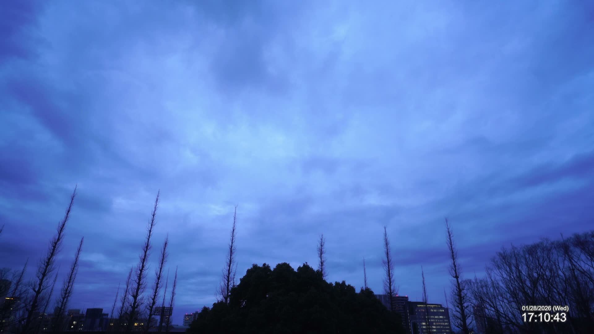 Tokyo, Meiji Shrine Outer Garden / Meiji Jingu Gaien toward Sky (明治神宮外苑から空へ) Live Cam  - Kasumigaokamachi, Shinjuku-ku, Tokyo, Kantō, Honshu, Japan