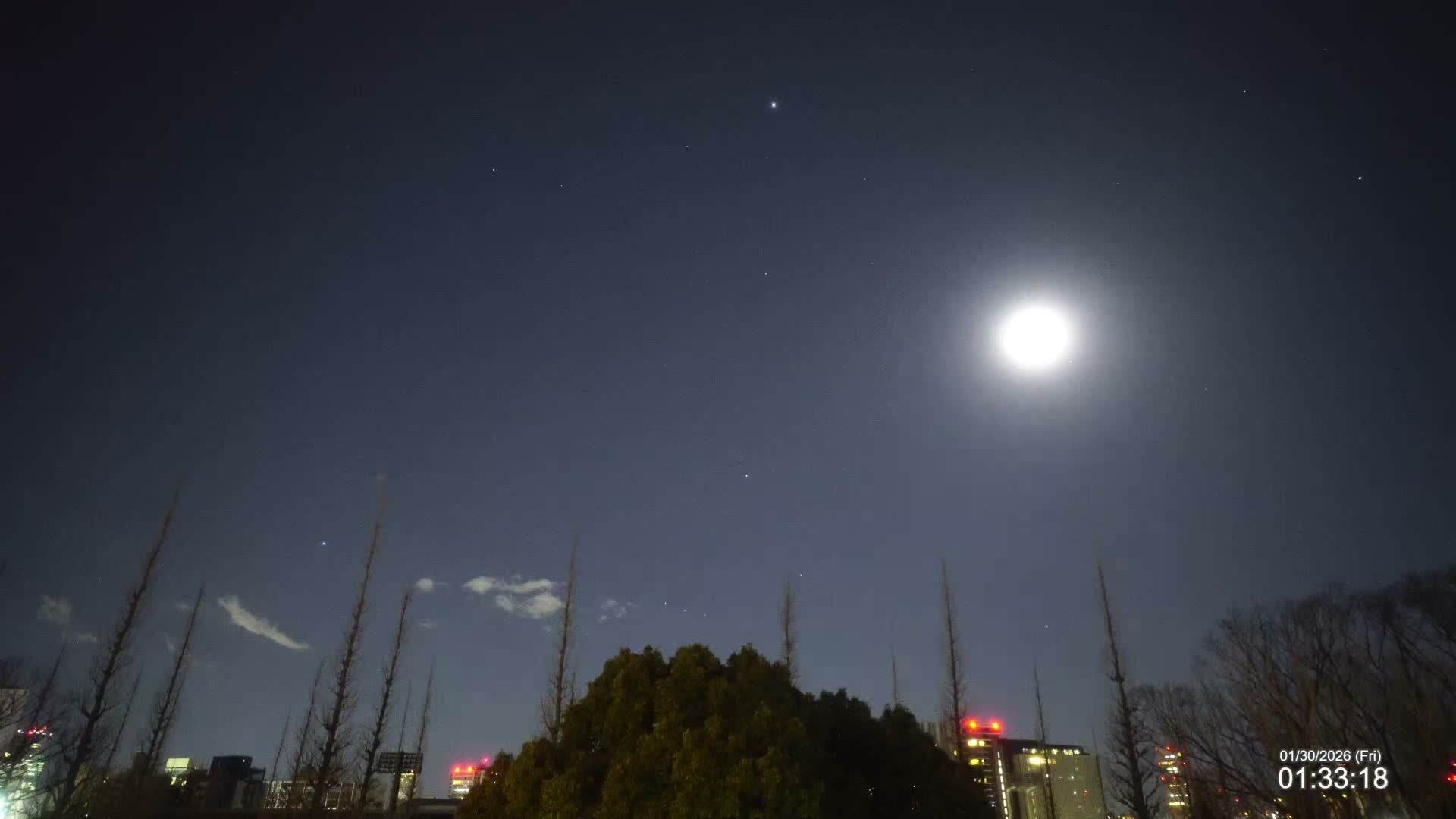 Tokyo, Meiji Shrine Outer Garden / Meiji Jingu Gaien toward Sky (明治神宮外苑から空へ) Live Cam  - Kasumigaokamachi, Shinjuku-ku, Tokyo, Kantō, Honshu, Japan