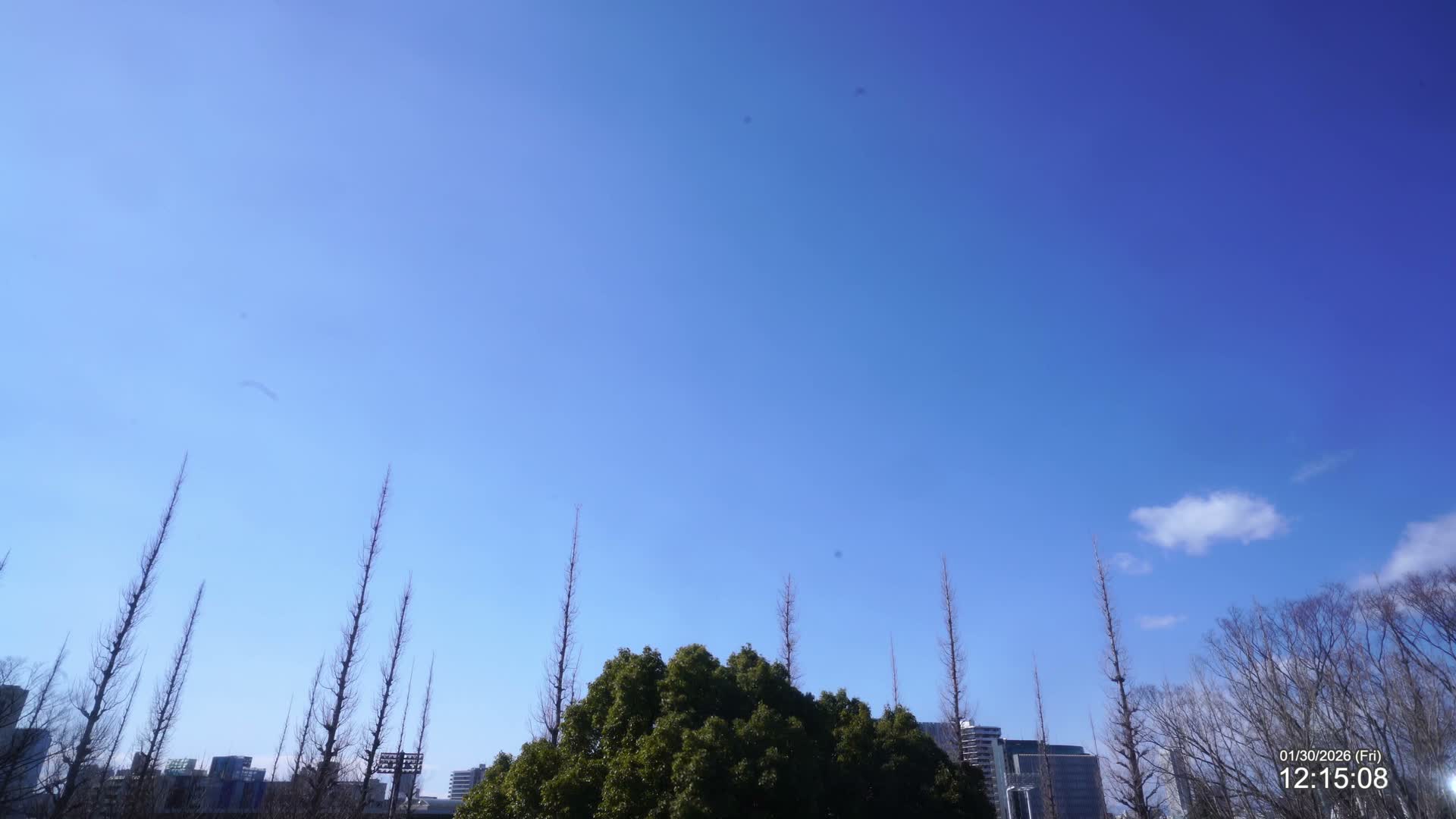 Tokyo, Meiji Shrine Outer Garden / Meiji Jingu Gaien toward Sky (明治神宮外苑から空へ) Live Cam  - Kasumigaokamachi, Shinjuku-ku, Tokyo, Kantō, Honshu, Japan