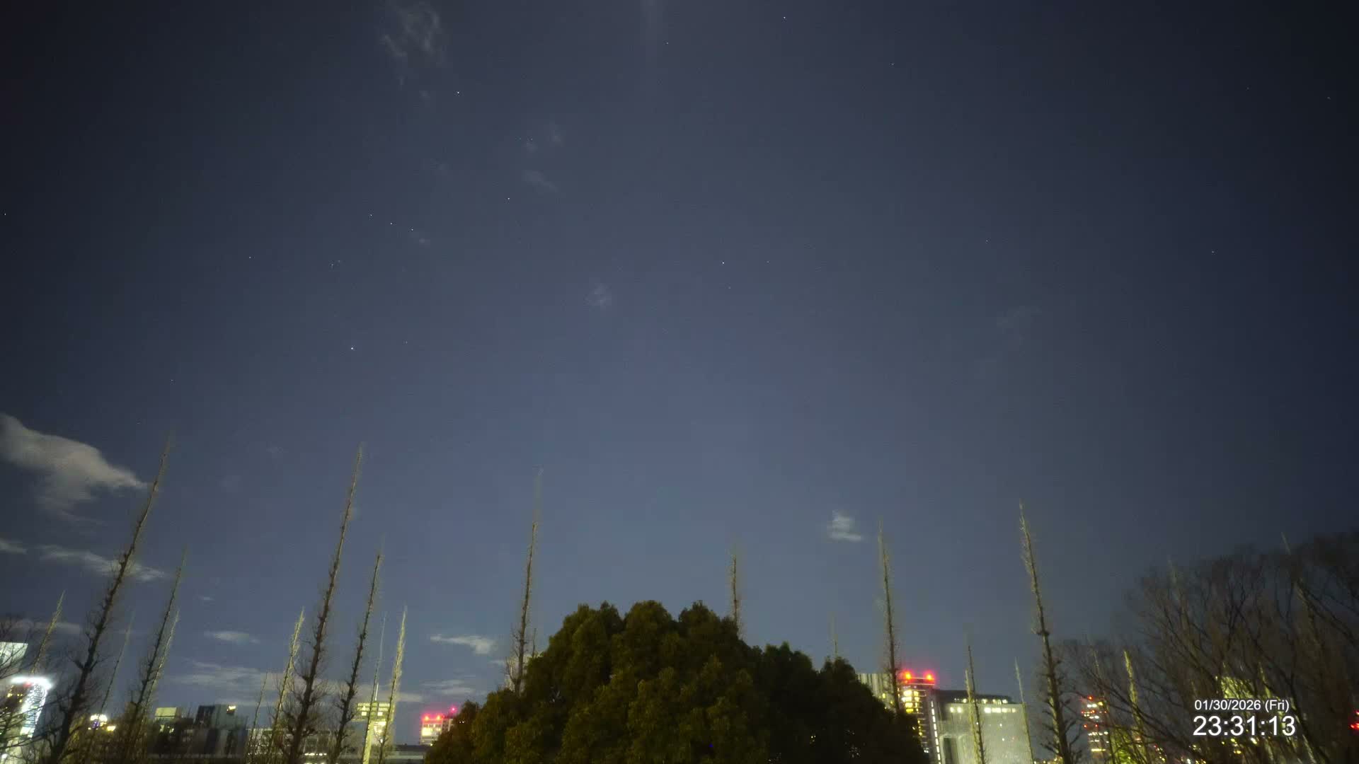 Tokyo, Meiji Shrine Outer Garden / Meiji Jingu Gaien toward Sky (明治神宮外苑から空へ) Live Cam  - Kasumigaokamachi, Shinjuku-ku, Tokyo, Kantō, Honshu, Japan