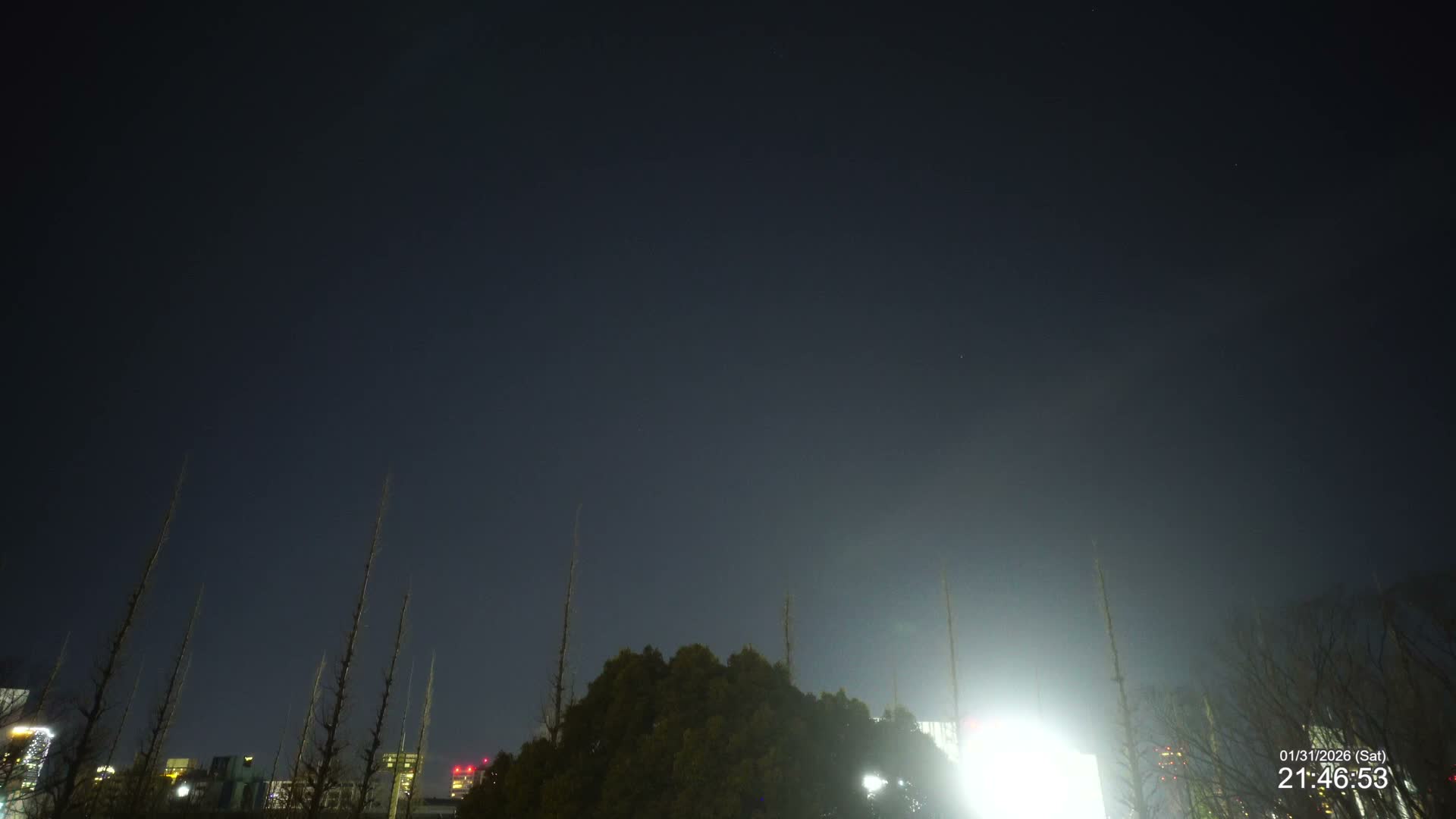 Tokyo, Meiji Shrine Outer Garden / Meiji Jingu Gaien toward Sky (明治神宮外苑から空へ) Live Cam  - Kasumigaokamachi, Shinjuku-ku, Tokyo, Kantō, Honshu, Japan