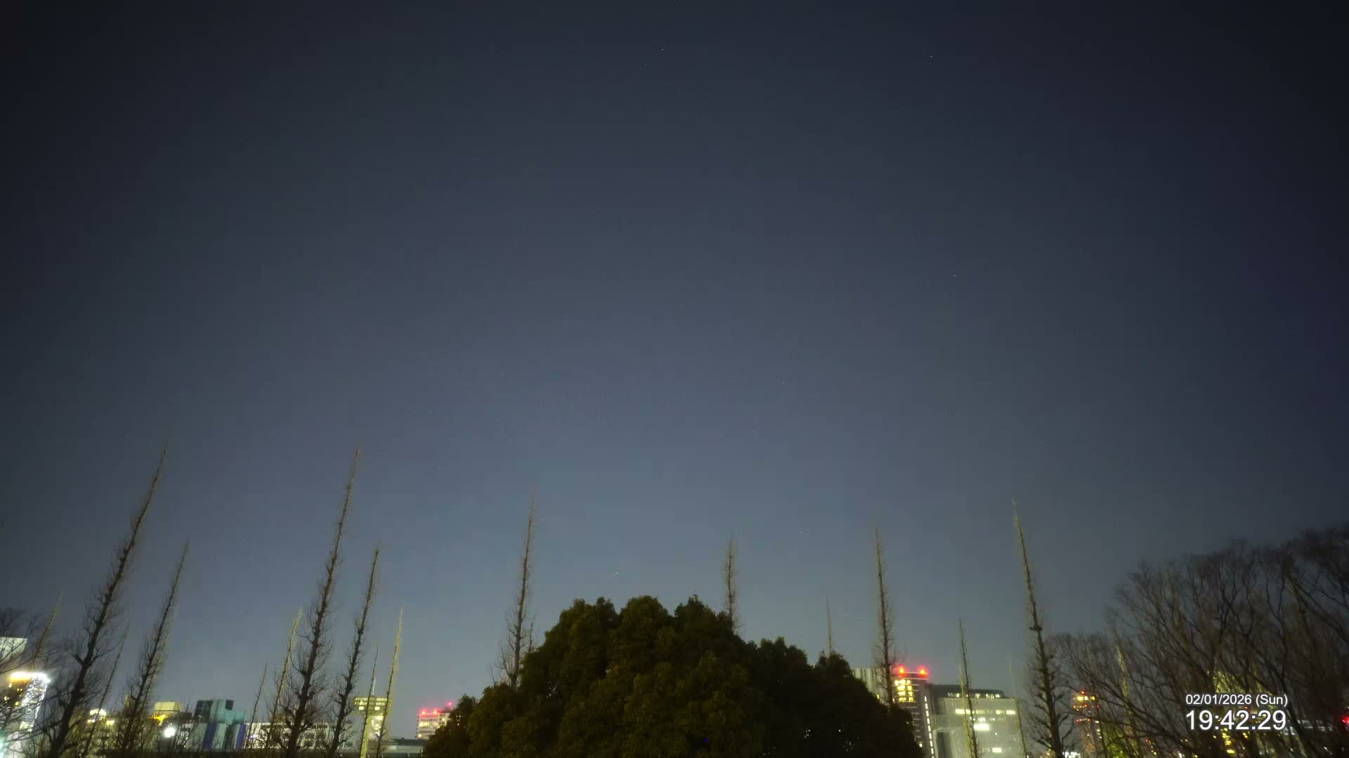 Tokyo, Meiji Shrine Outer Garden / Meiji Jingu Gaien toward Sky (明治神宮外苑から空へ) Live Cam  - Kasumigaokamachi, Shinjuku-ku, Tokyo, Kantō, Honshu, Japan