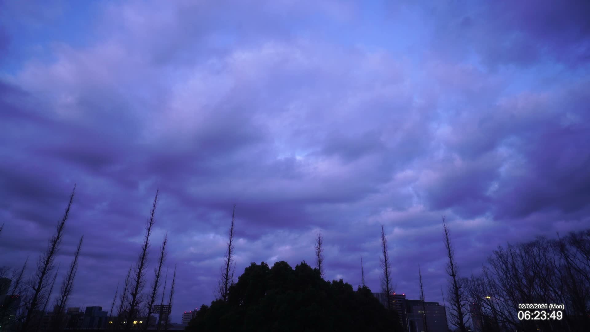 Tokyo, Meiji Shrine Outer Garden / Meiji Jingu Gaien toward Sky (明治神宮外苑から空へ) Live Cam  - Kasumigaokamachi, Shinjuku-ku, Tokyo, Kantō, Honshu, Japan