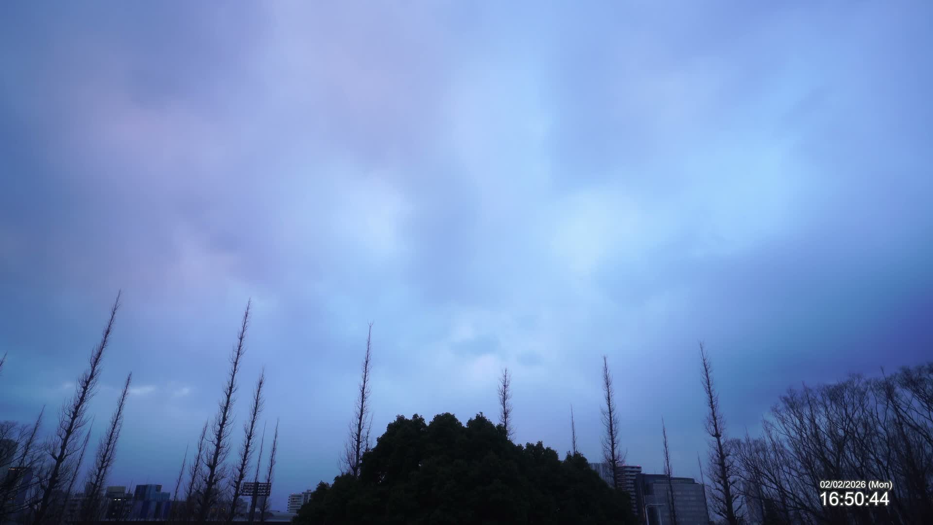 Tokyo, Meiji Shrine Outer Garden / Meiji Jingu Gaien toward Sky (明治神宮外苑から空へ) Live Cam  - Kasumigaokamachi, Shinjuku-ku, Tokyo, Kantō, Honshu, Japan