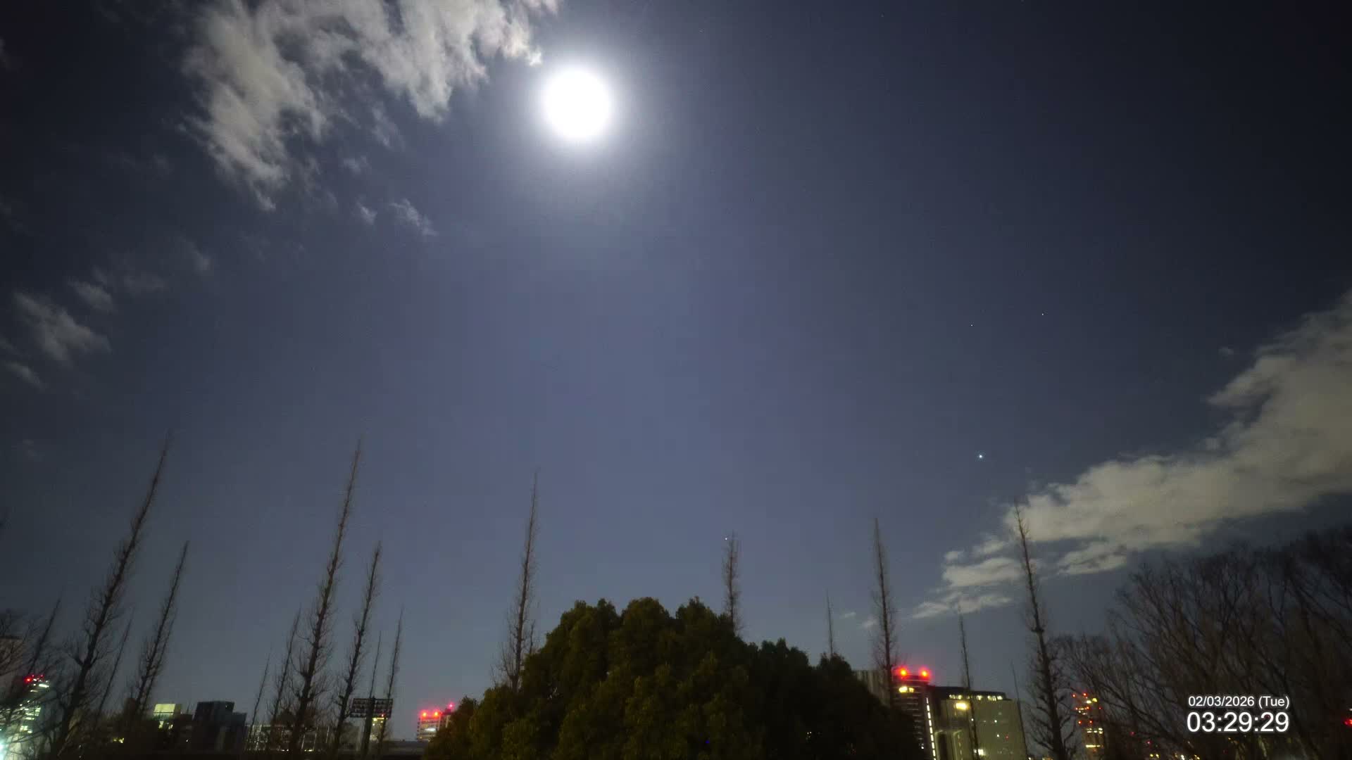 Tokyo, Meiji Shrine Outer Garden / Meiji Jingu Gaien toward Sky (明治神宮外苑から空へ) Live Cam  - Kasumigaokamachi, Shinjuku-ku, Tokyo, Kantō, Honshu, Japan