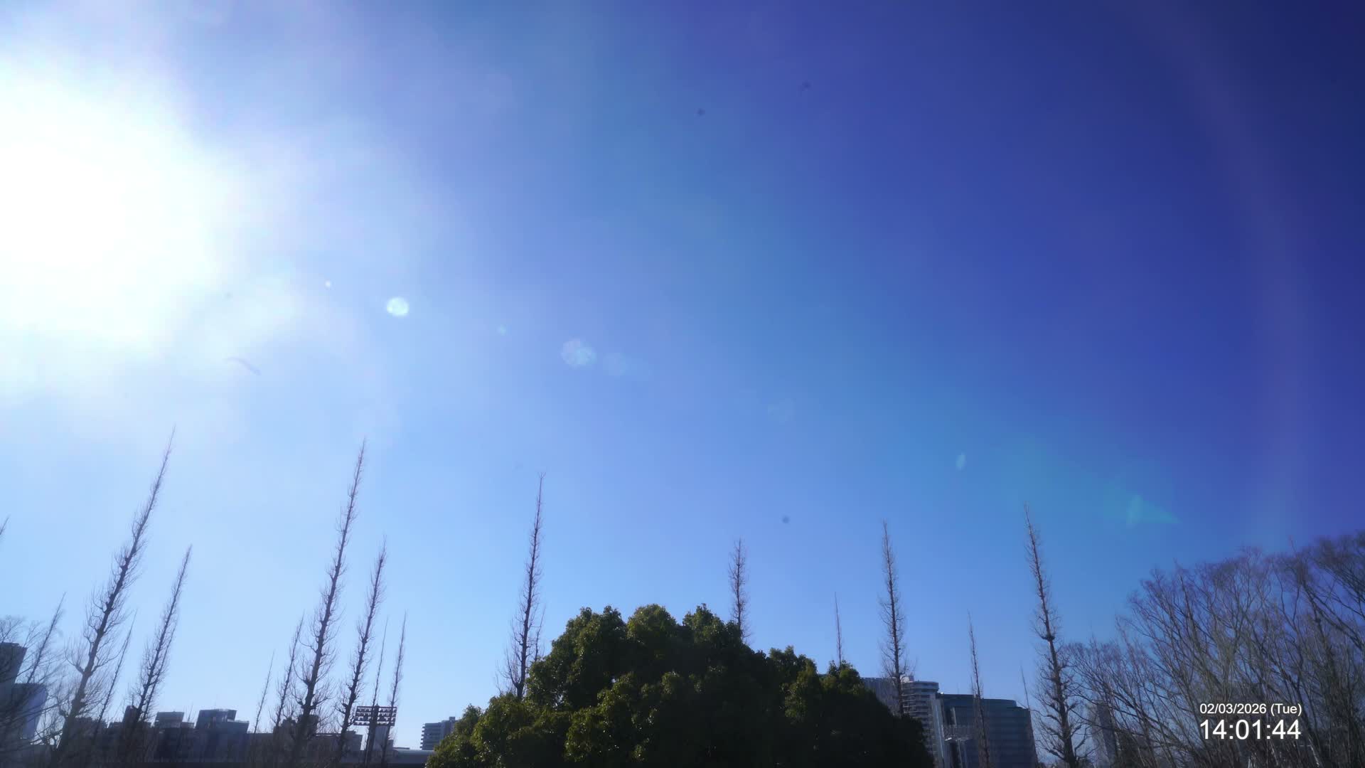 Tokyo, Meiji Shrine Outer Garden / Meiji Jingu Gaien toward Sky (明治神宮外苑から空へ) Live Cam  - Kasumigaokamachi, Shinjuku-ku, Tokyo, Kantō, Honshu, Japan