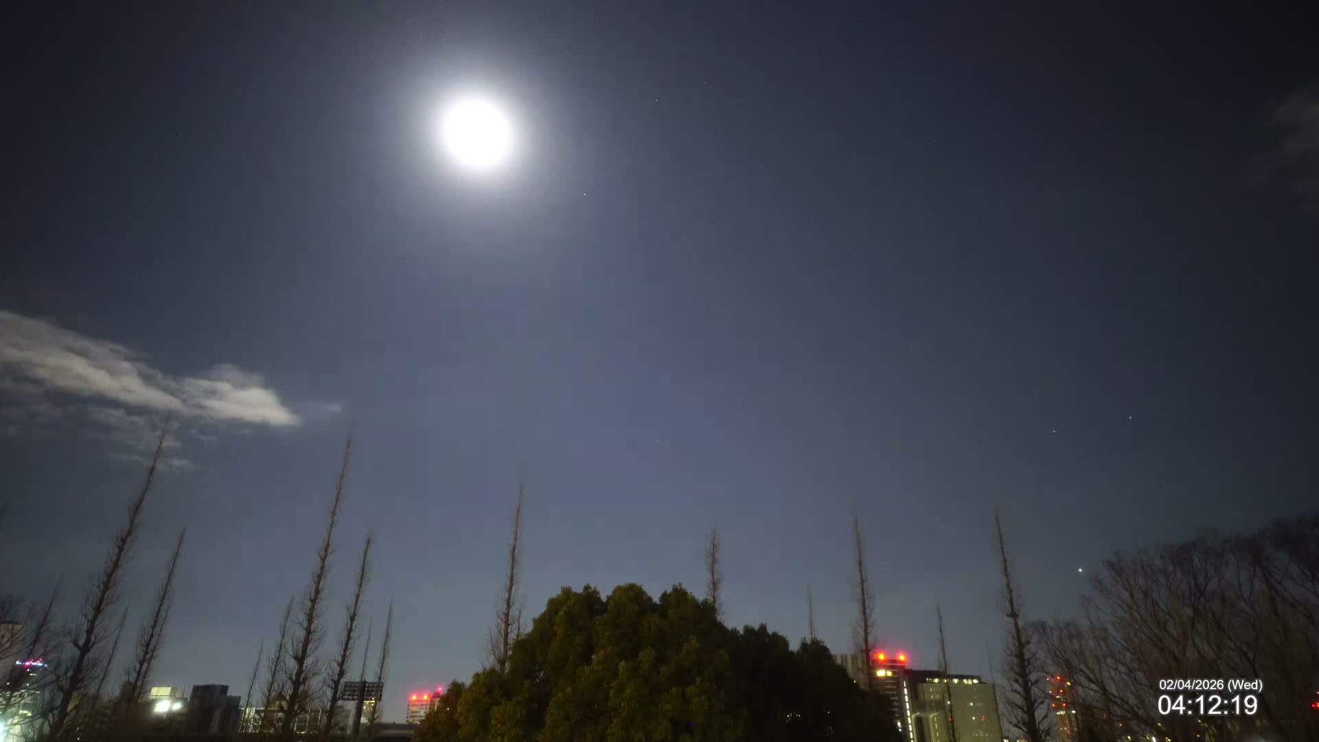 Tokyo, Meiji Shrine Outer Garden / Meiji Jingu Gaien toward Sky (明治神宮外苑から空へ) Live Cam  - Kasumigaokamachi, Shinjuku-ku, Tokyo, Kantō, Honshu, Japan