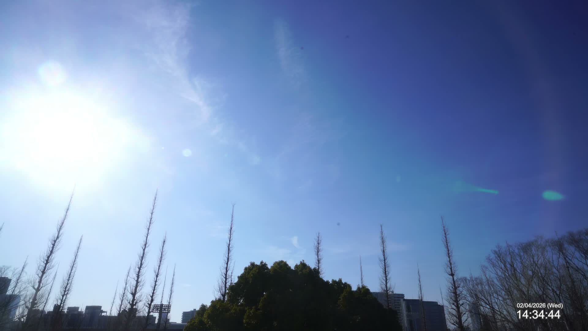 Tokyo, Meiji Shrine Outer Garden / Meiji Jingu Gaien toward Sky (明治神宮外苑から空へ) Live Cam  - Kasumigaokamachi, Shinjuku-ku, Tokyo, Kantō, Honshu, Japan