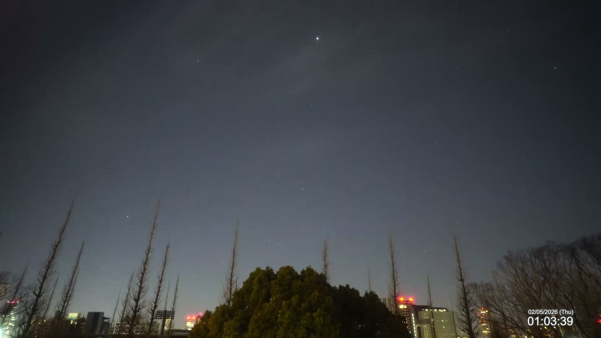 Tokyo, Meiji Shrine Outer Garden / Meiji Jingu Gaien toward Sky (明治神宮外苑から空へ) Live Cam  - Kasumigaokamachi, Shinjuku-ku, Tokyo, Kantō, Honshu, Japan