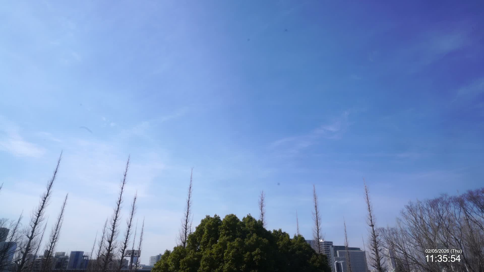 Tokyo, Meiji Shrine Outer Garden / Meiji Jingu Gaien toward Sky (明治神宮外苑から空へ) Live Cam  - Kasumigaokamachi, Shinjuku-ku, Tokyo, Kantō, Honshu, Japan