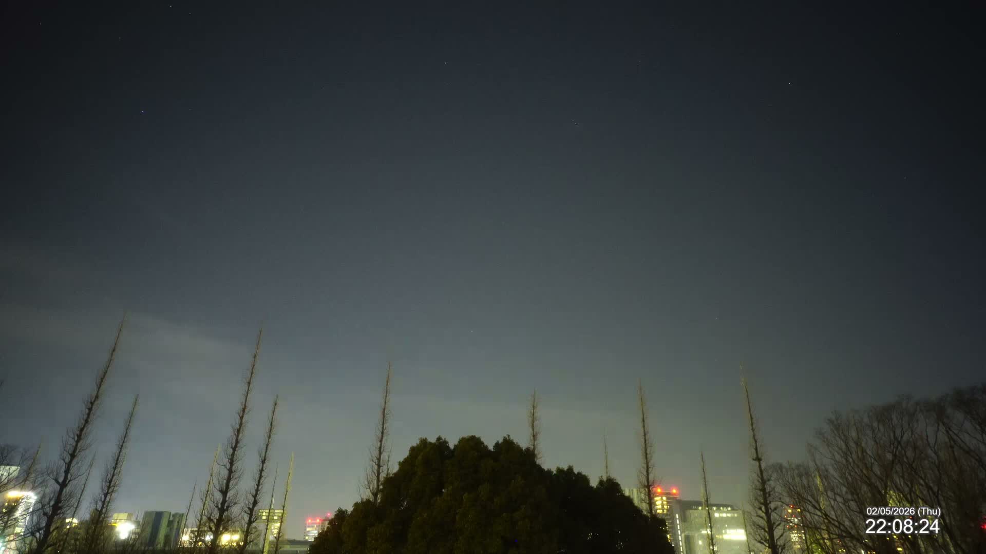 Tokyo, Meiji Shrine Outer Garden / Meiji Jingu Gaien toward Sky (明治神宮外苑から空へ) Live Cam  - Kasumigaokamachi, Shinjuku-ku, Tokyo, Kantō, Honshu, Japan