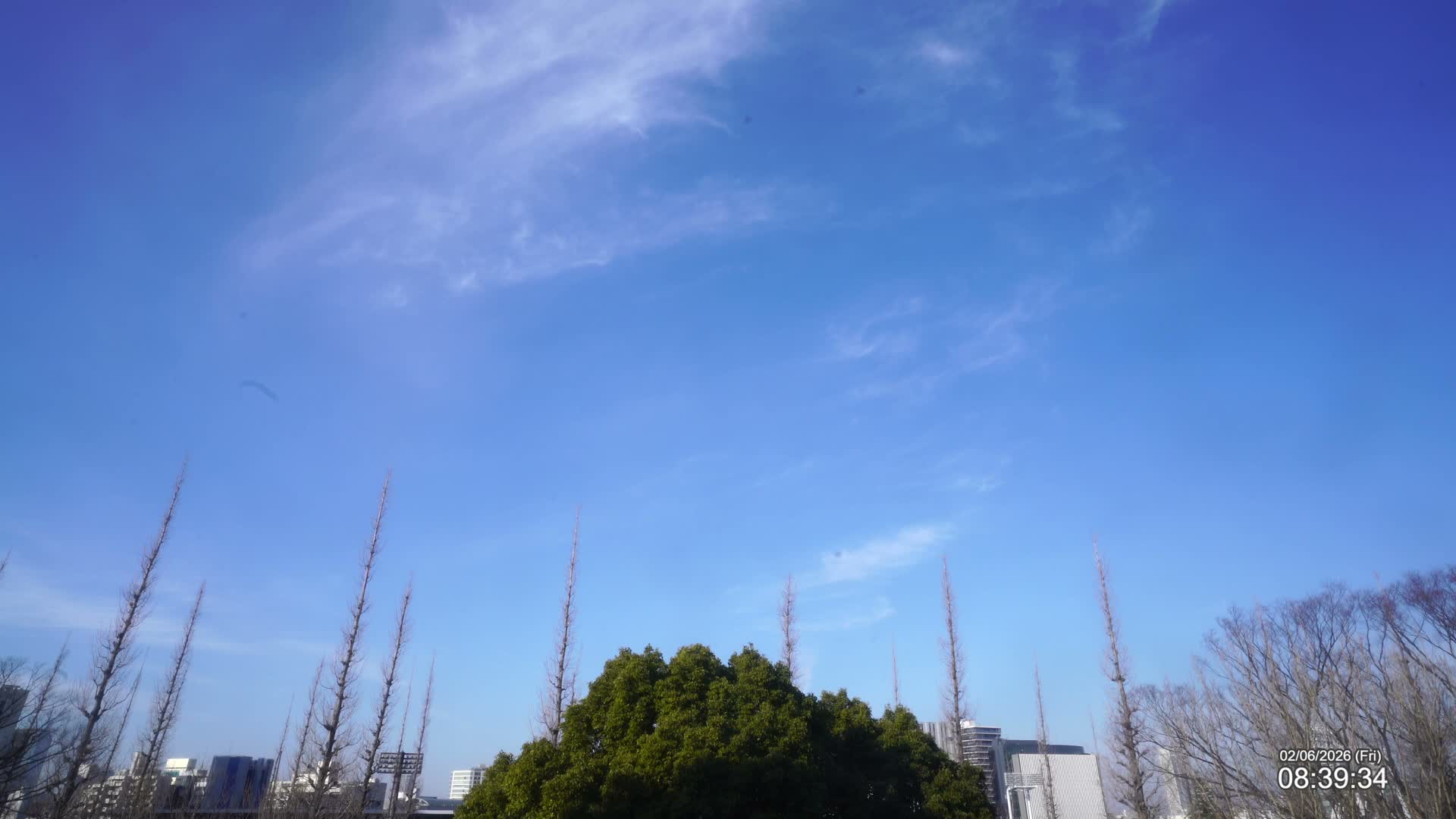Tokyo, Meiji Shrine Outer Garden / Meiji Jingu Gaien toward Sky (明治神宮外苑から空へ) Live Cam  - Kasumigaokamachi, Shinjuku-ku, Tokyo, Kantō, Honshu, Japan