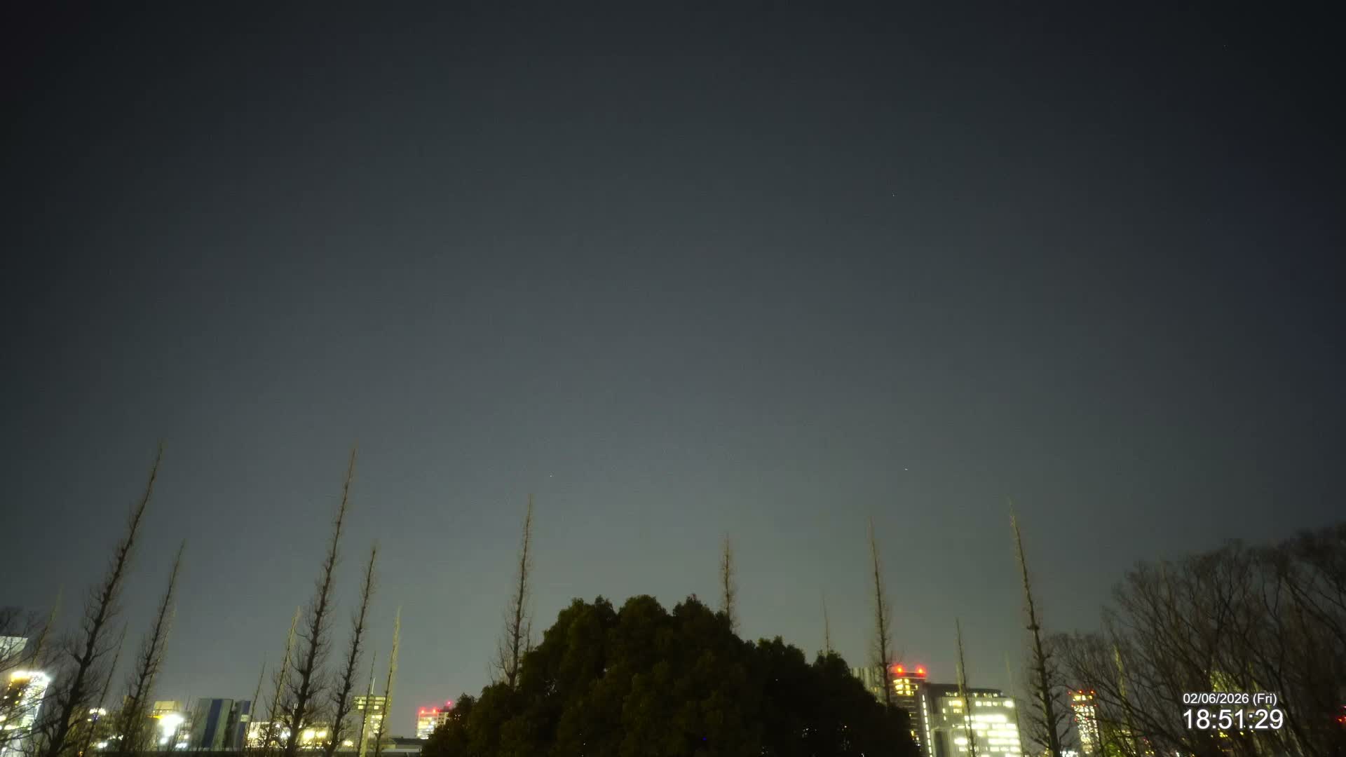 Tokyo, Meiji Shrine Outer Garden / Meiji Jingu Gaien toward Sky (明治神宮外苑から空へ) Live Cam  - Kasumigaokamachi, Shinjuku-ku, Tokyo, Kantō, Honshu, Japan