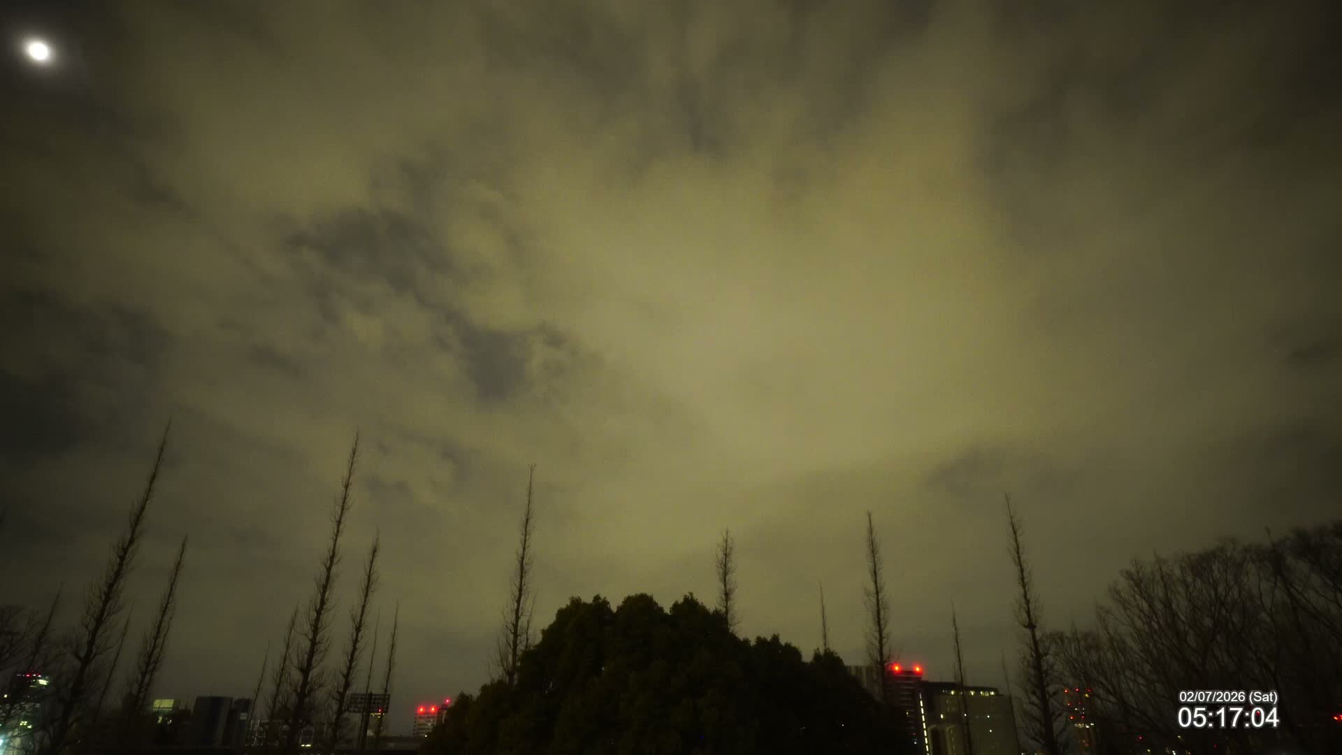 Tokyo, Meiji Shrine Outer Garden / Meiji Jingu Gaien toward Sky (明治神宮外苑から空へ) Live Cam  - Kasumigaokamachi, Shinjuku-ku, Tokyo, Kantō, Honshu, Japan